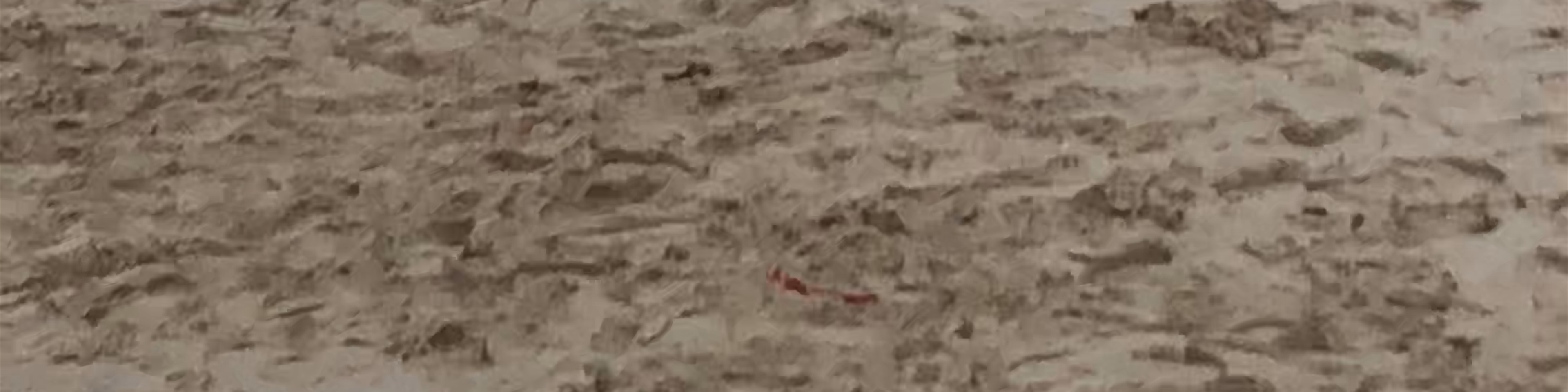 Bahamas