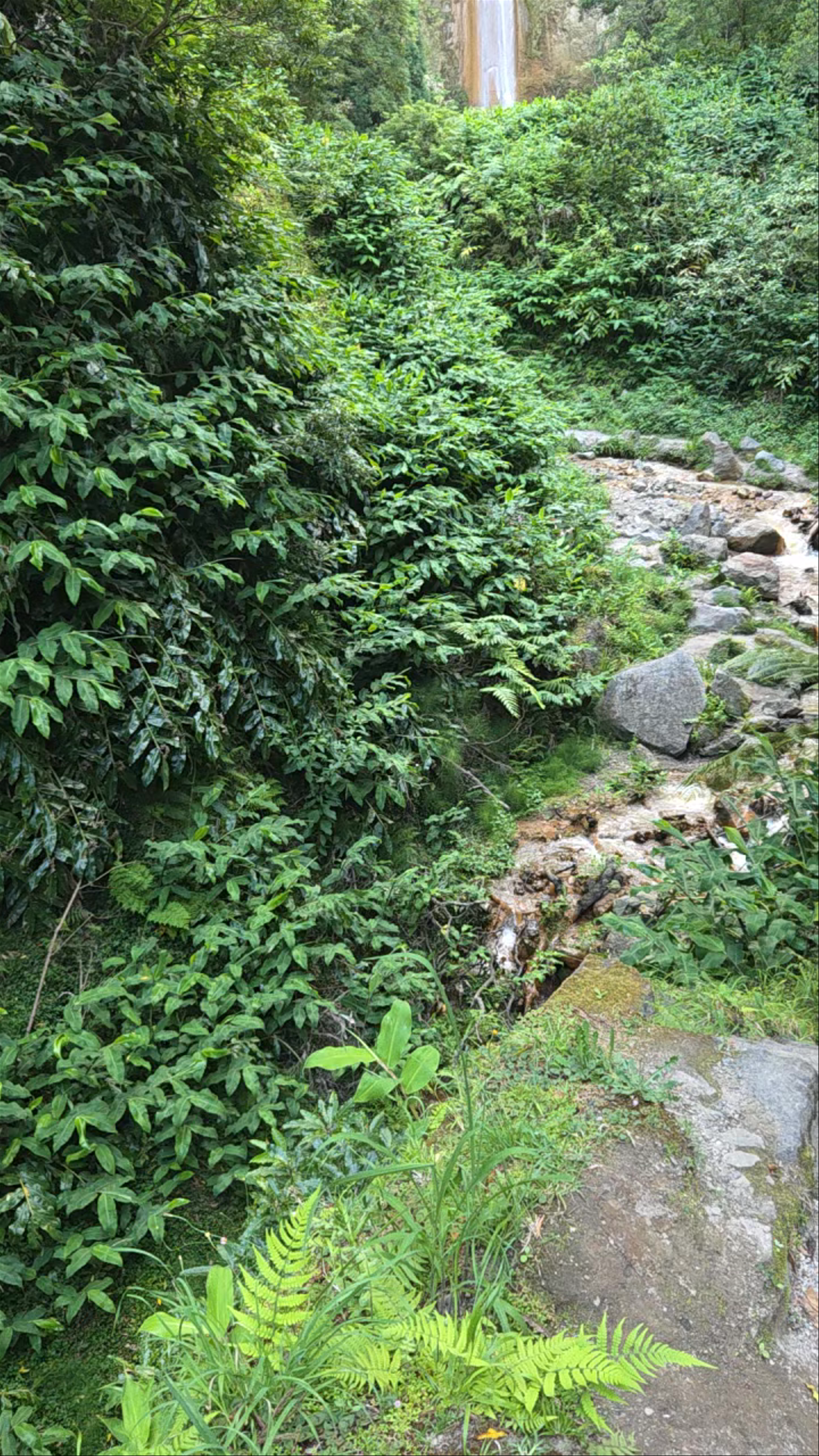 Cascata da Ribeira dos Caldeirões