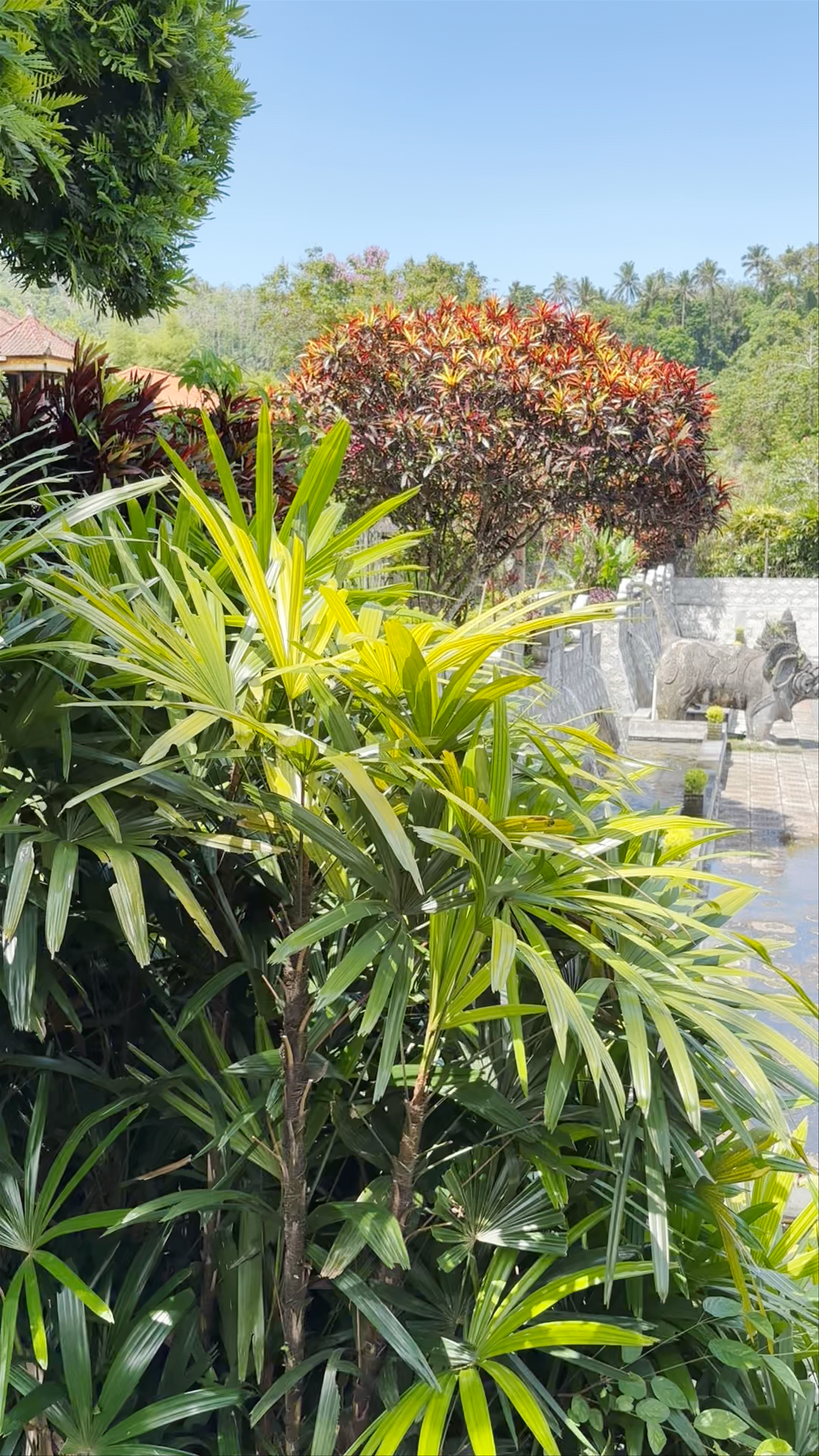 Tirta Gangga