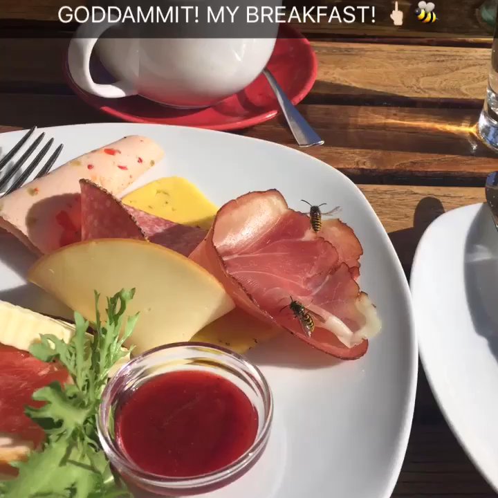 Kuchenrausch - WASPS WANT MY BREAKFAST! They didn't sting me or act aggressively towards me at all, but annoying for sure. - Breakfast & Brunch Near Me - Berlin, BE