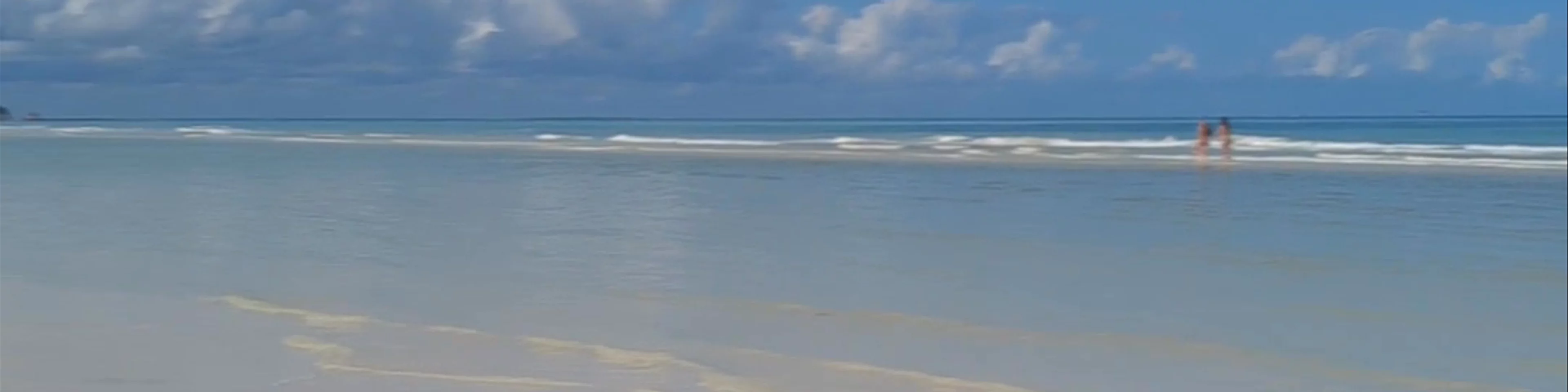 ISLA Holbox Beach Zona Hotelera 🌴