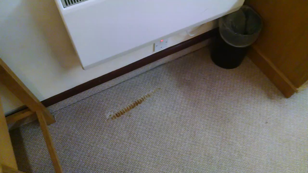 Crowne Plaza Basingstoke - Burt dirty carpet, paint chipping,  stains on bed. - Hotels Near Me - Basingstoke, HAM