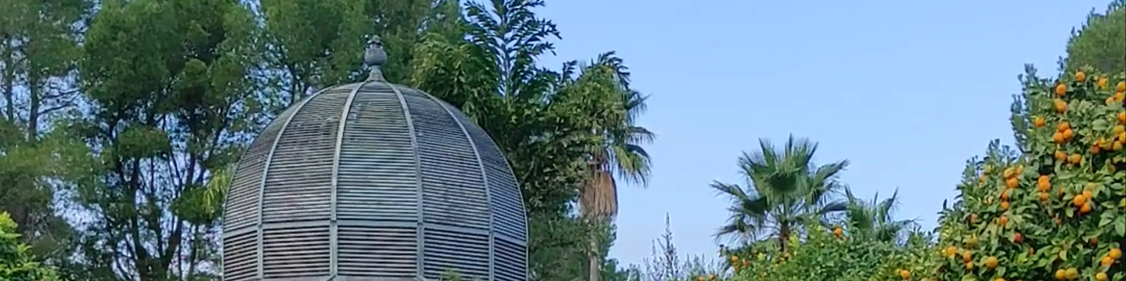 Jardí de l'Albarda