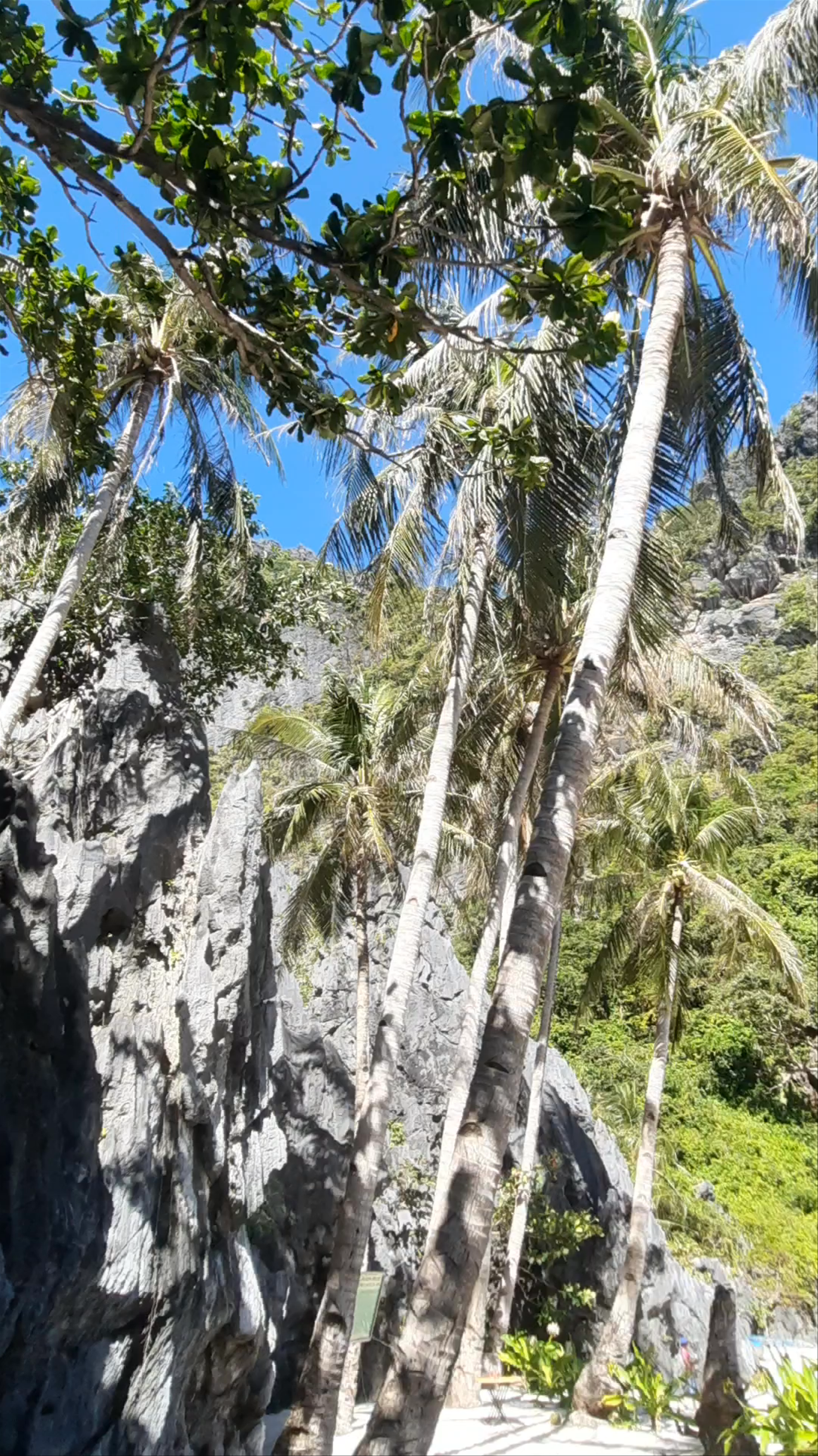 Secret Lagoon