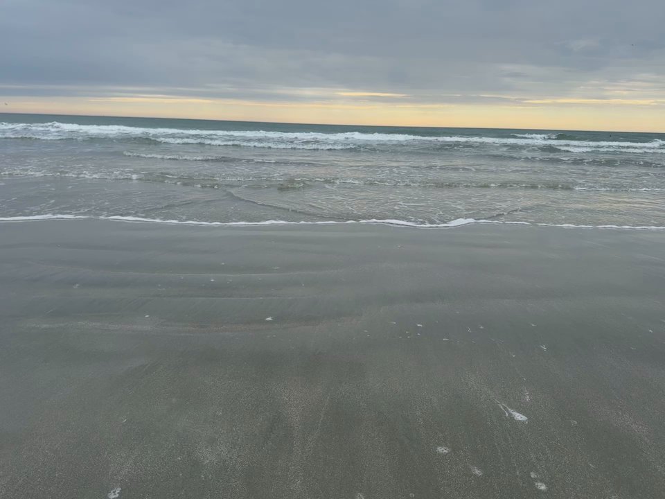 Huntington Beach State Park - peaceful - Parks Near Me - Murrells Inlet, South Carolina
