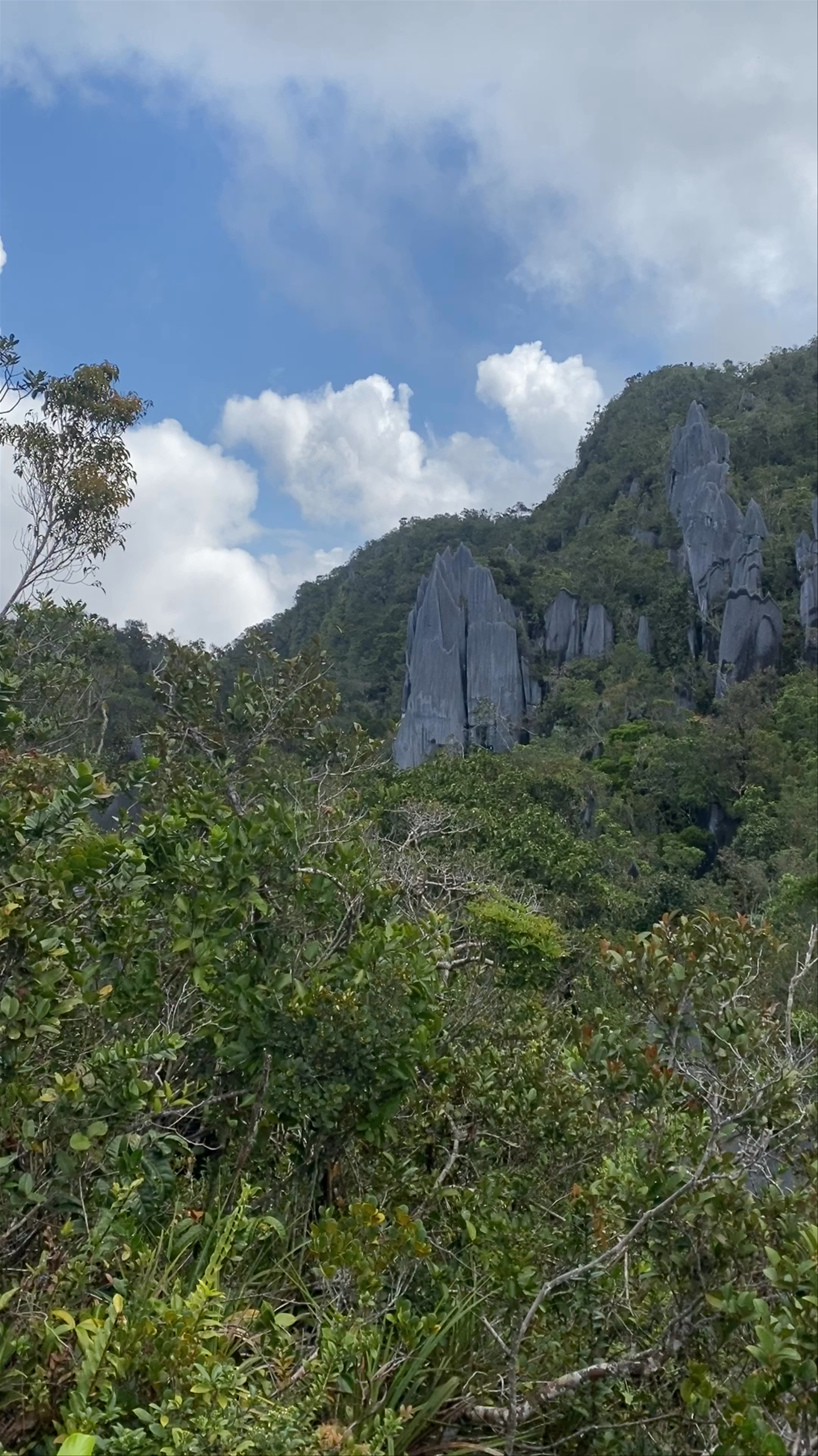 Gunung Mulu National Park