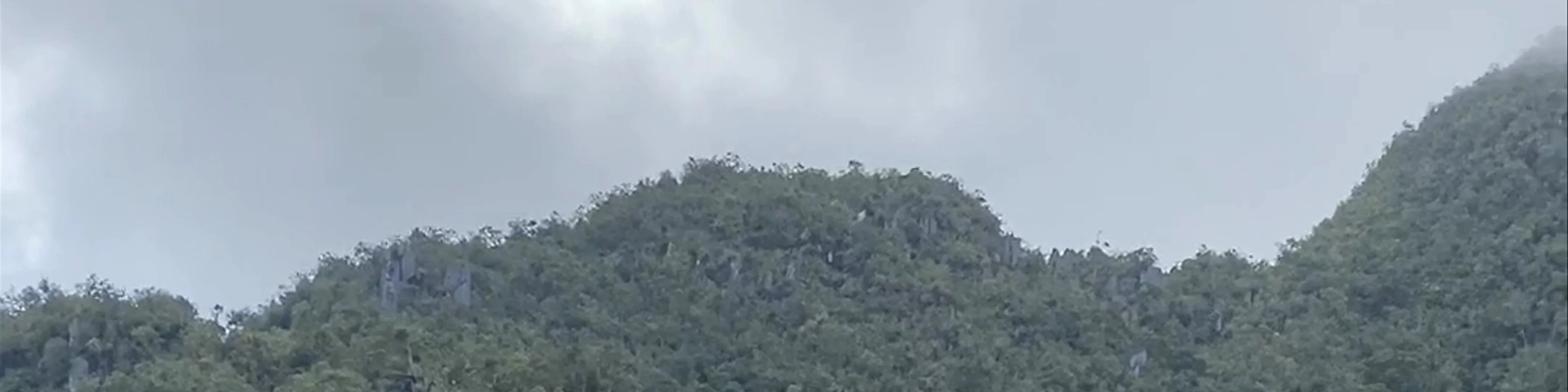 Gunung Mulu National Park