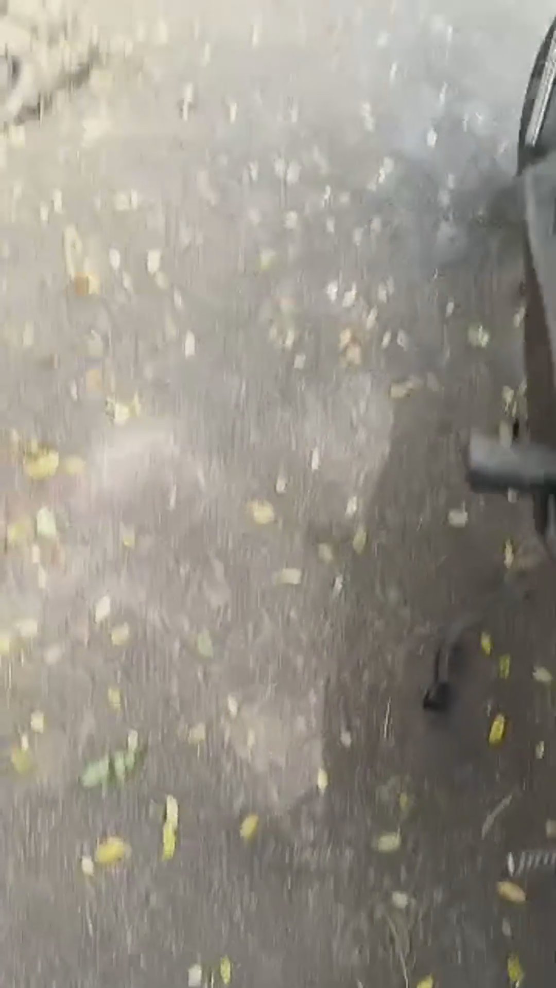 Walk-around video thumbnail