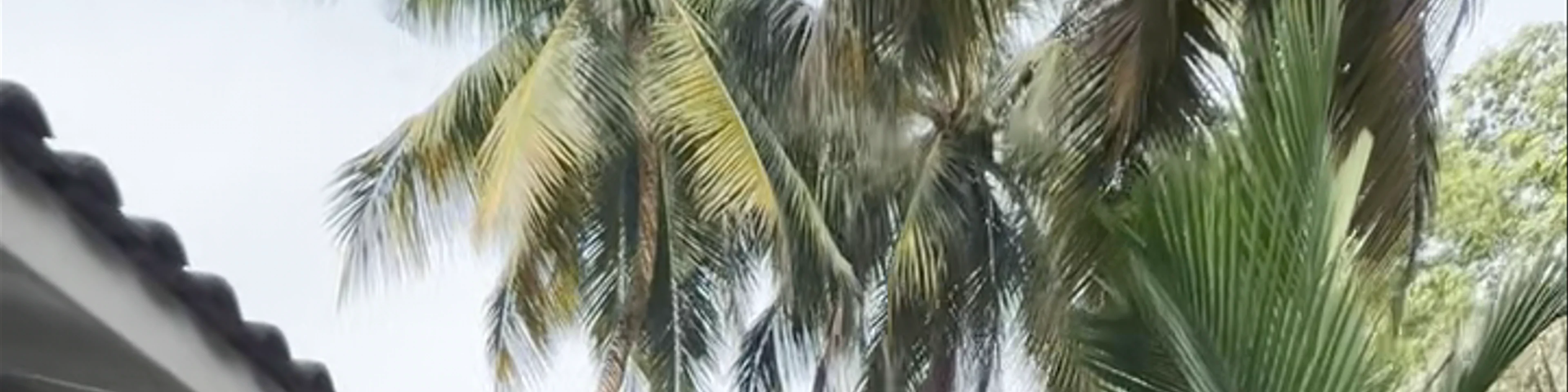 Tabula Rasa Resort & Spa