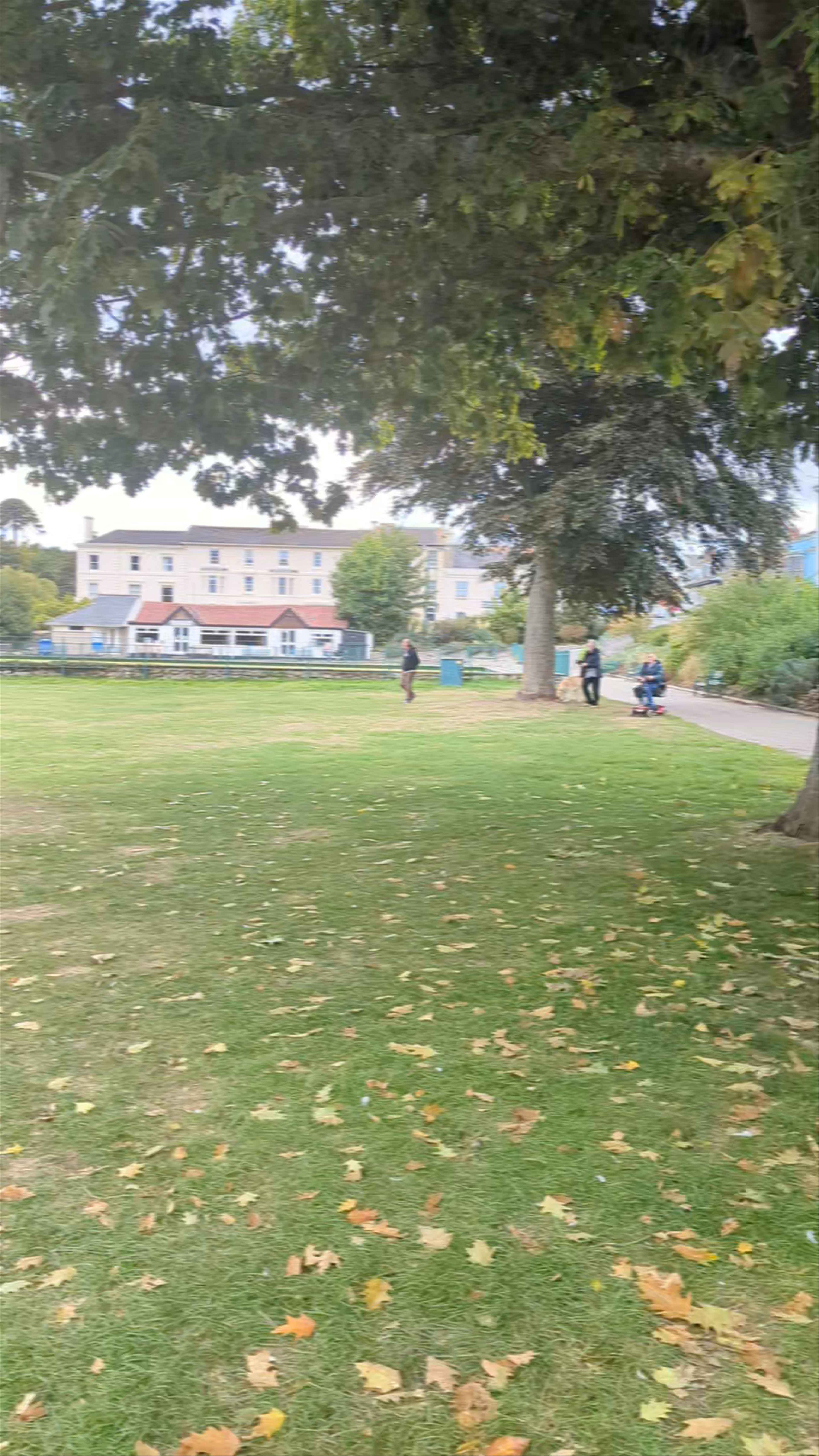 Dawlish Lawn
