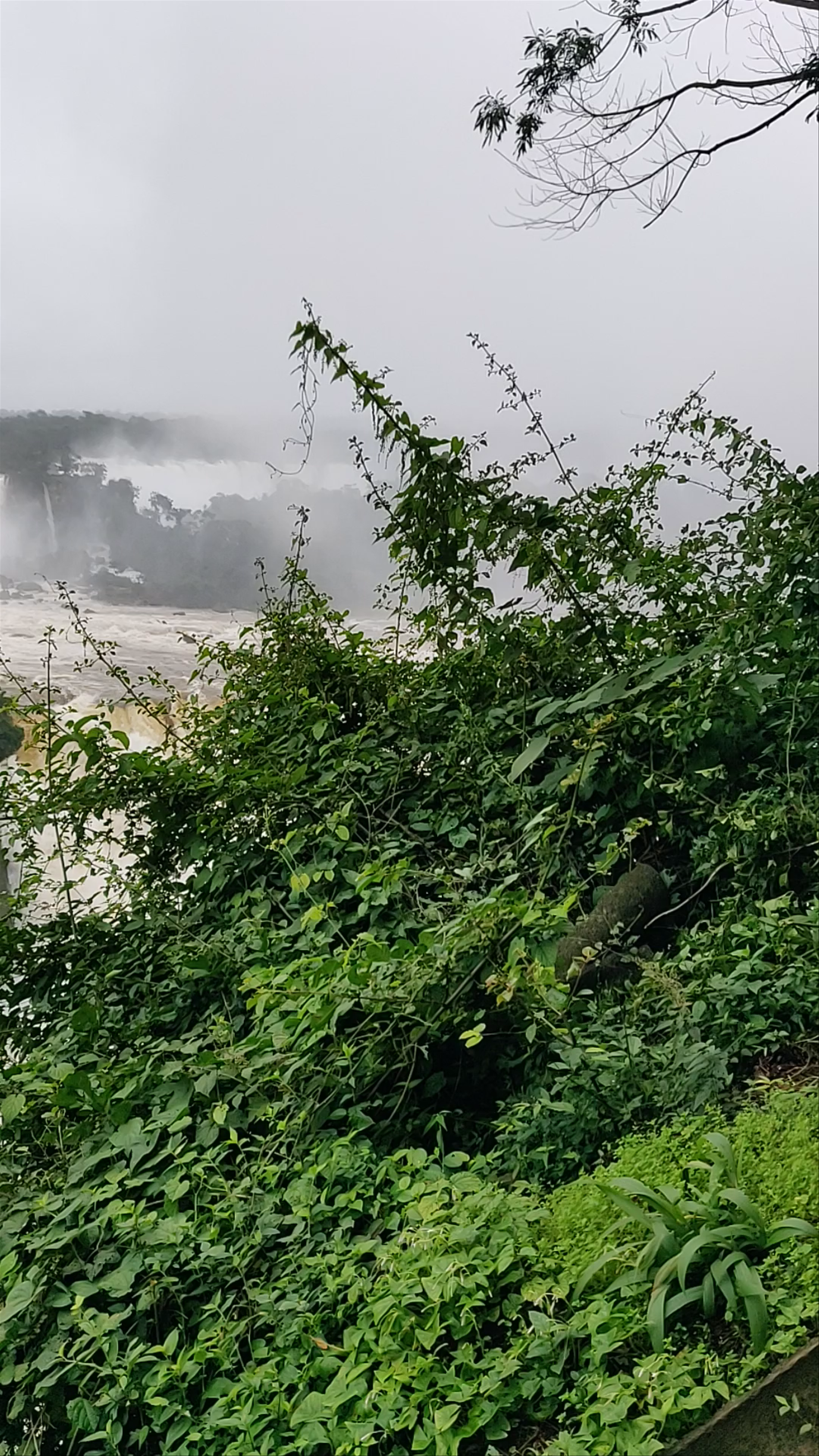 Parque Nacional do Iguaçu - Foz do Iguaçu