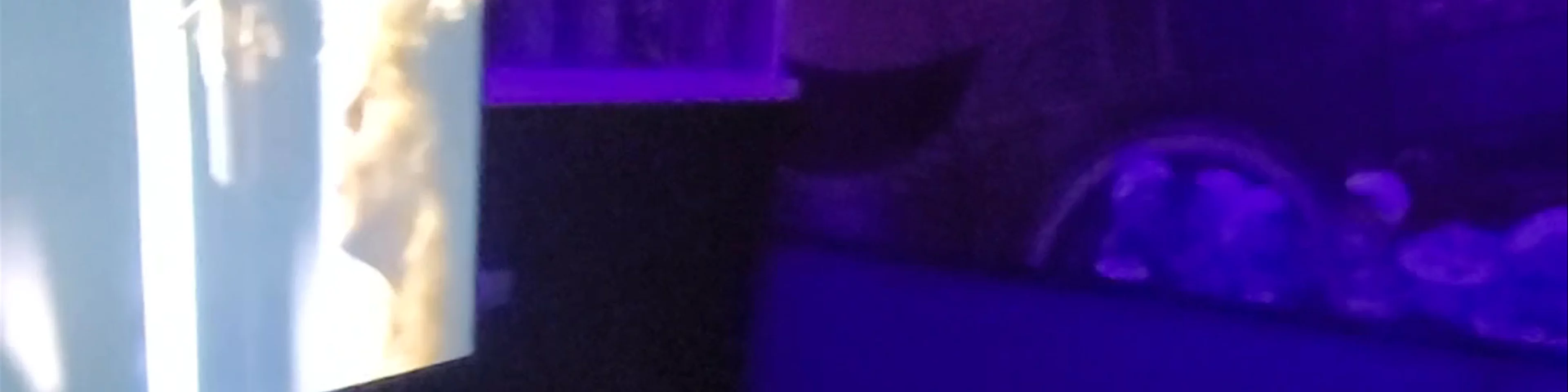 Throwback Arcade Lounge