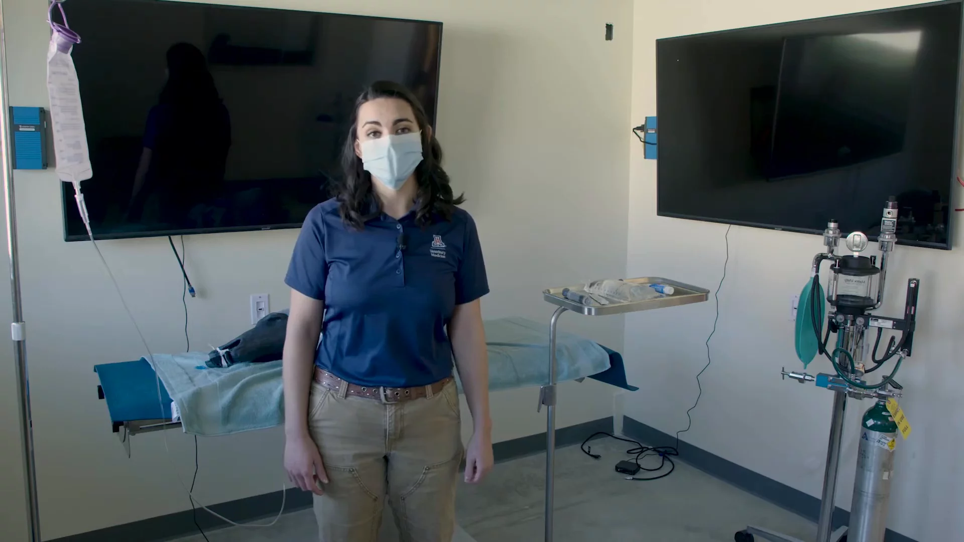Transform Your Vet Career: Discover UArizona's Innovative 3-Year Program!
