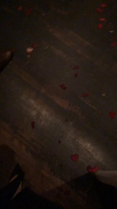 Due Amici - Roses on the floor for valentines day - Italian Near Me - Columbus, Ohio