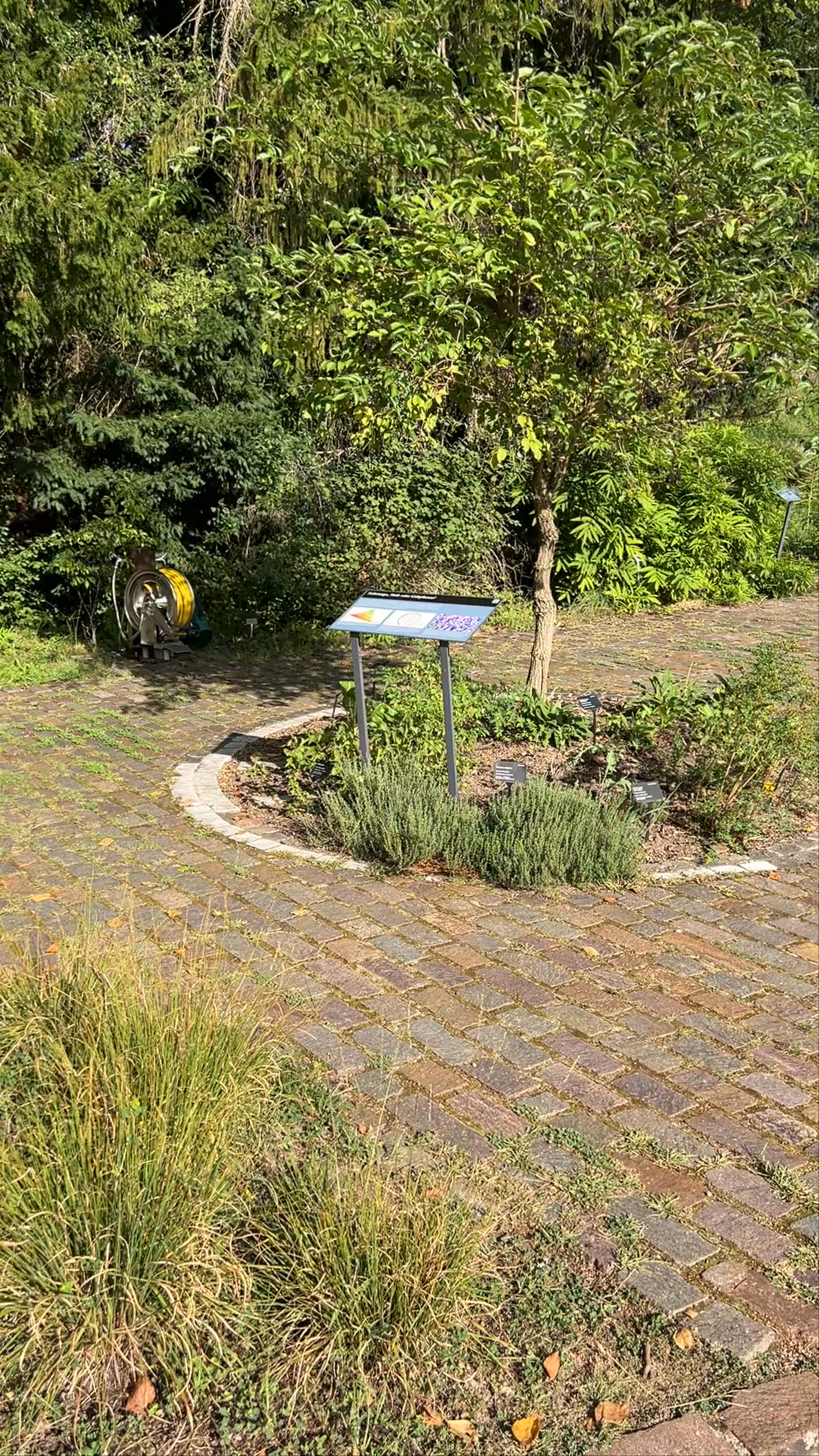 Botanical Garden