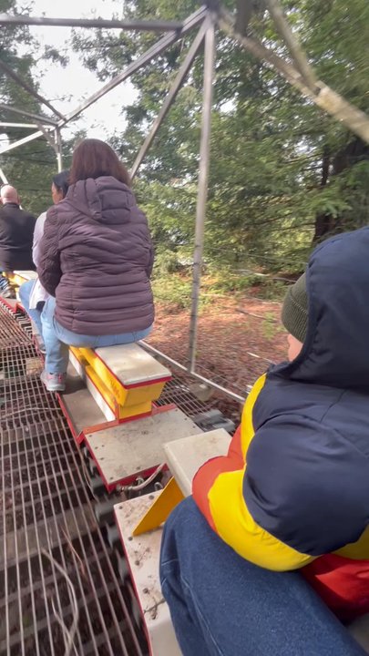 Golden Gate Live Steamers - The little bench train is free! Open SUNDAY ONLY 12pm-2pm - Social Clubs Near Me - Berkeley, California