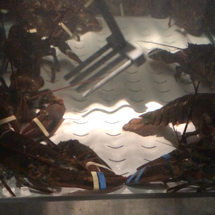 Red Lobster - The claaaaaaawwwwww. - Seafood Near Me - Iselin, New Jersey