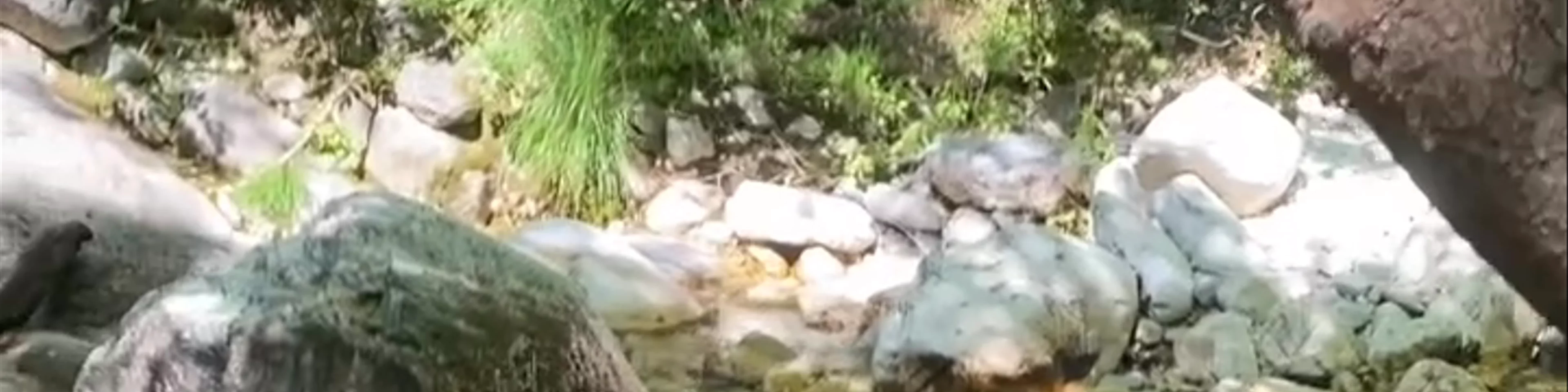 Νικ. ρέμα