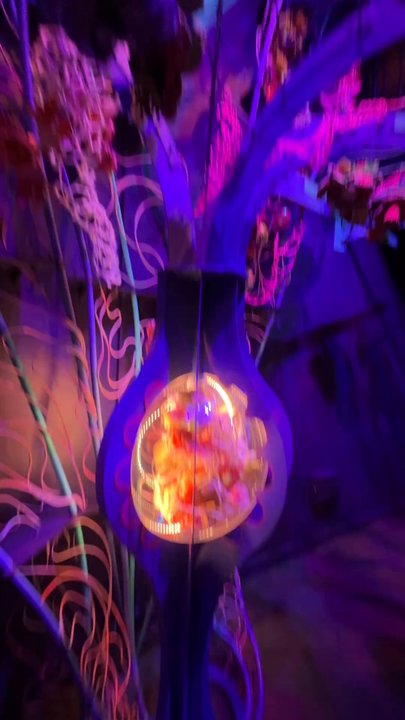 Meow Wolf - Cool art - Active Life Near Me - Houston, Texas