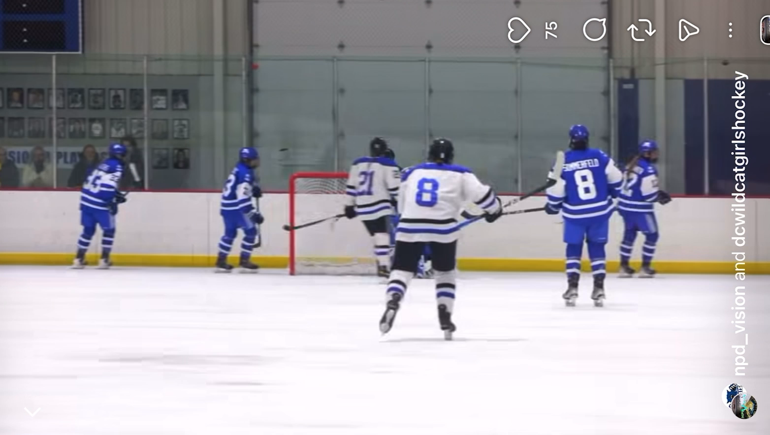 Alexa Van Straaten's Top Highlights | Dodge County High Hockey