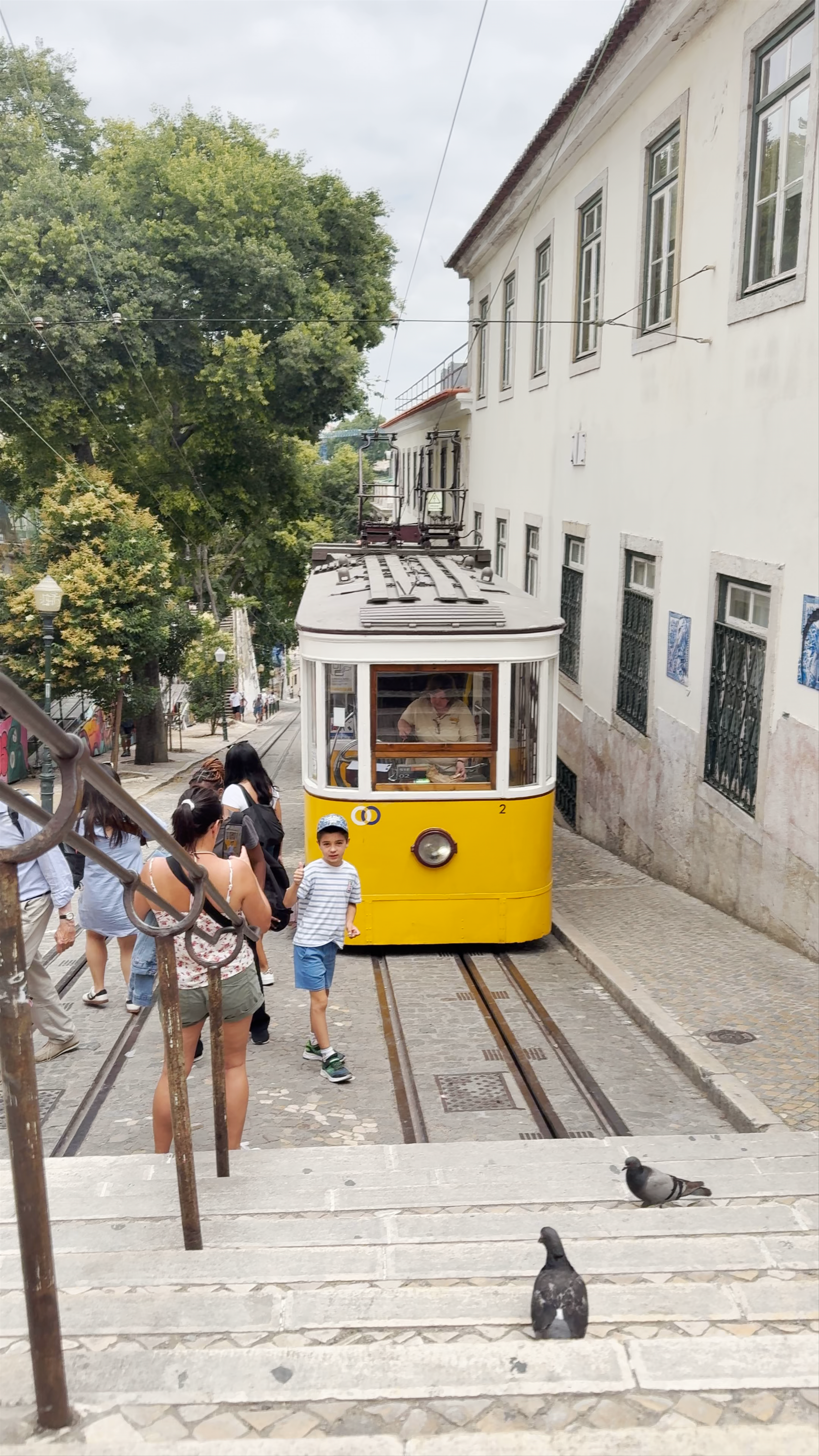 Glória Funicular Adventure: Iconic Ride Through Historic Lisbon