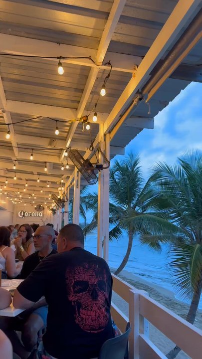 Palo Restaurant - Seafood Near Me - Isabela, Puerto Rico