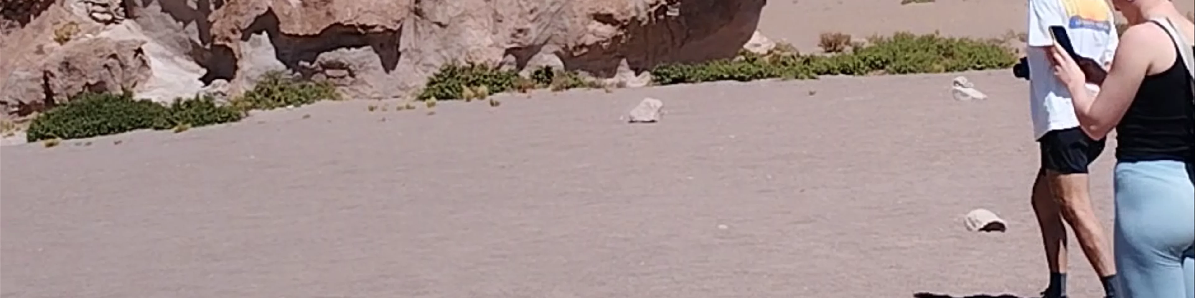 Piedra de Camello