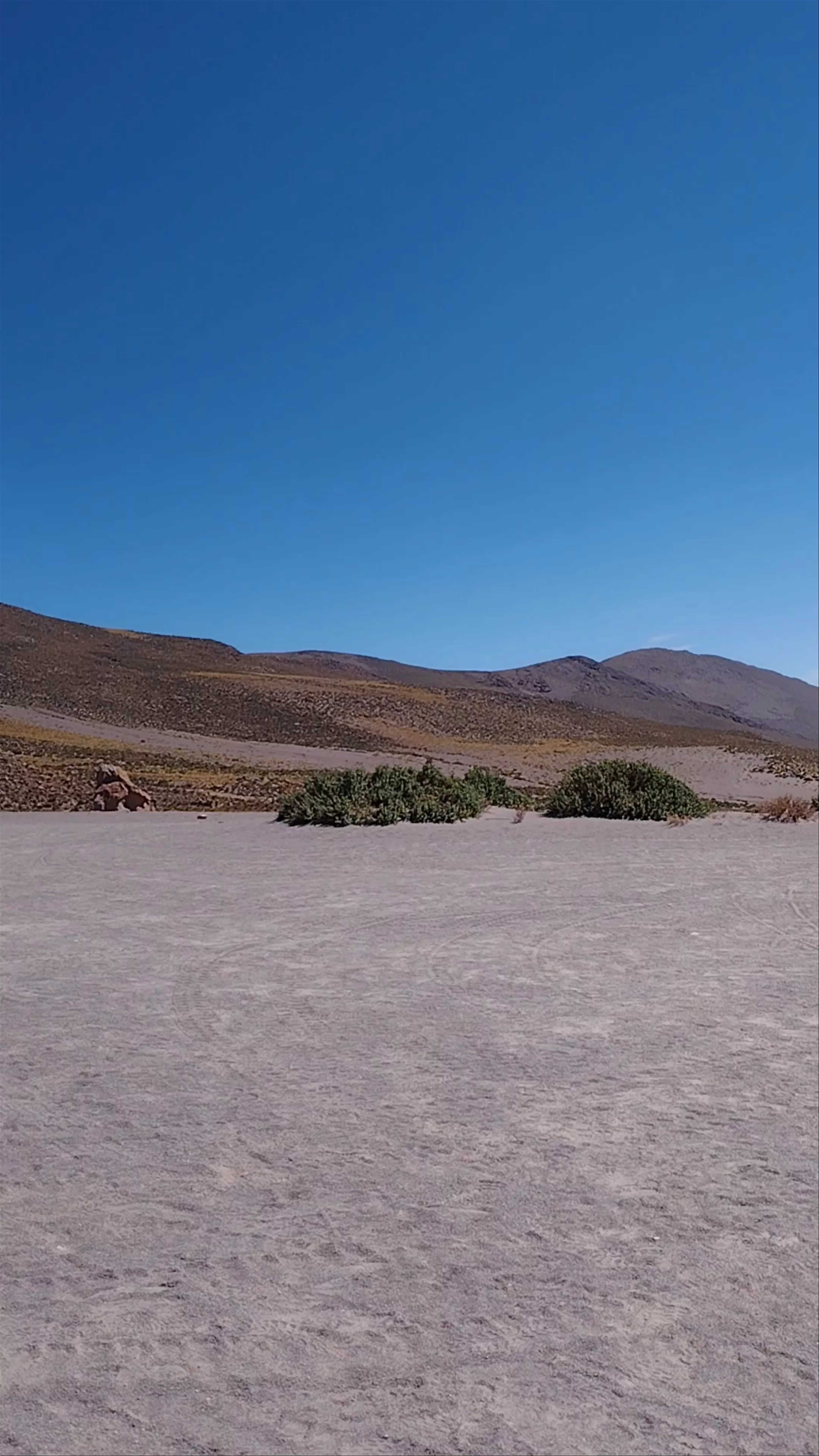 Piedra de Camello