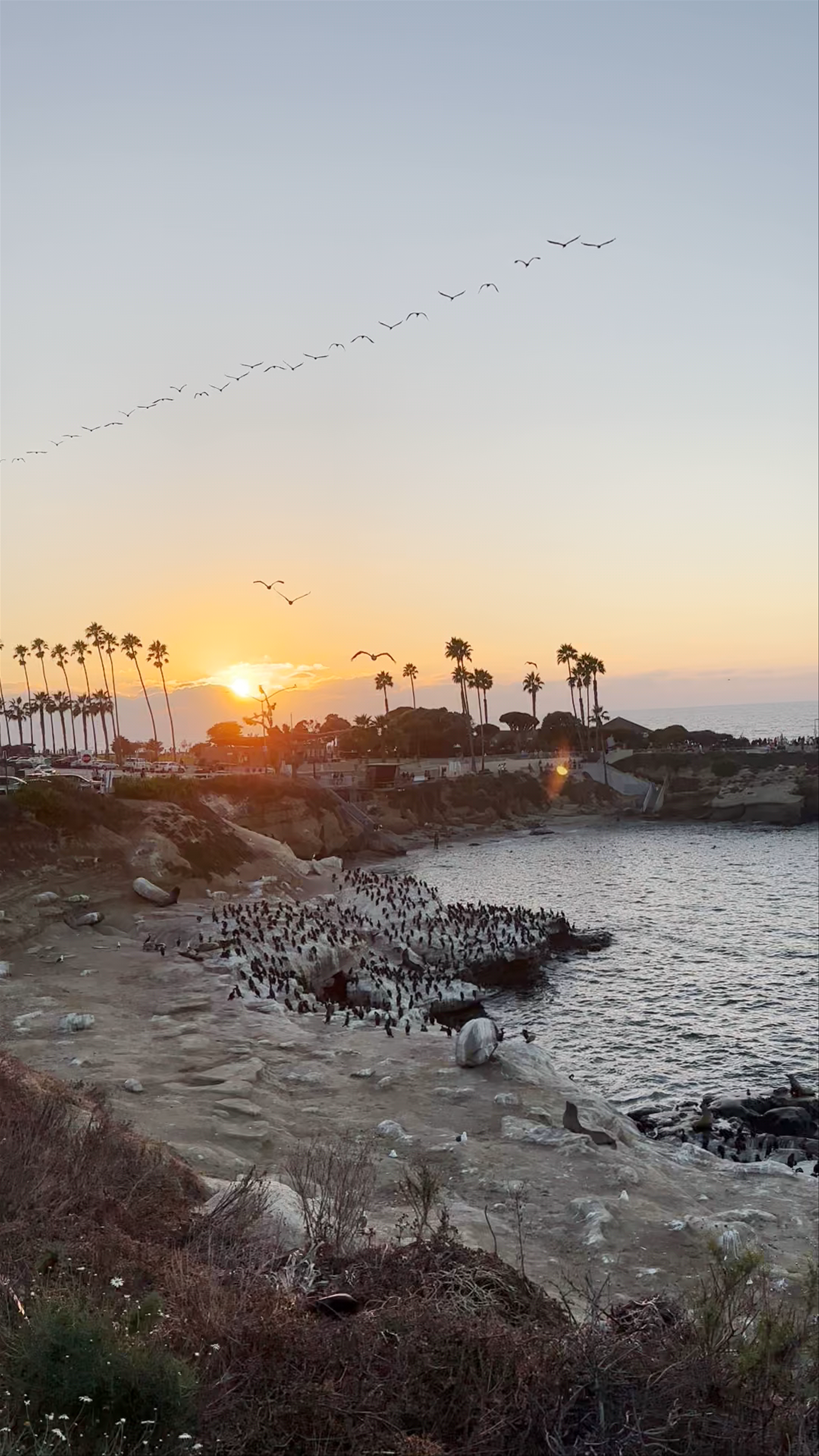 La Jolla Cove