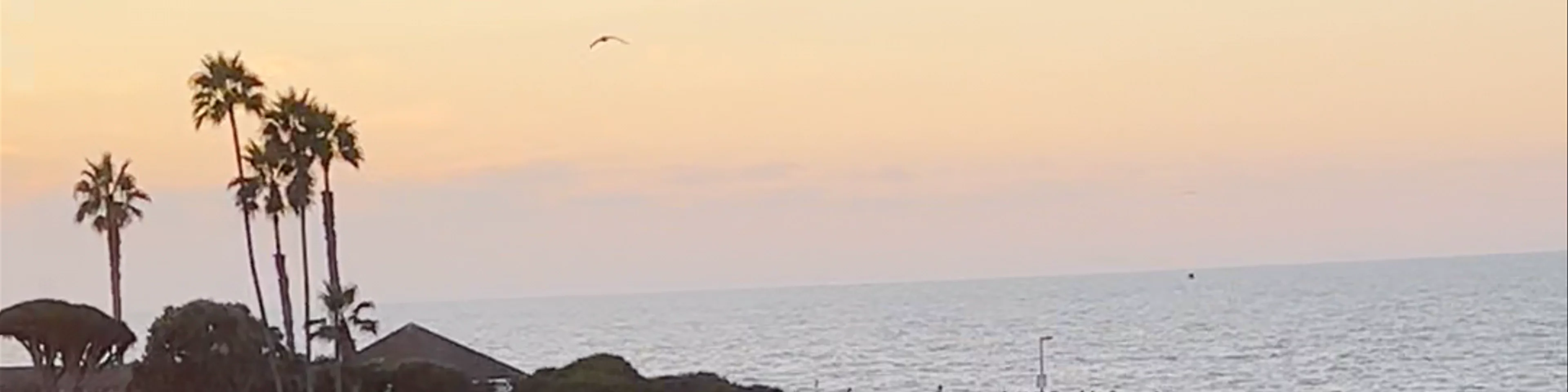 La Jolla Cove