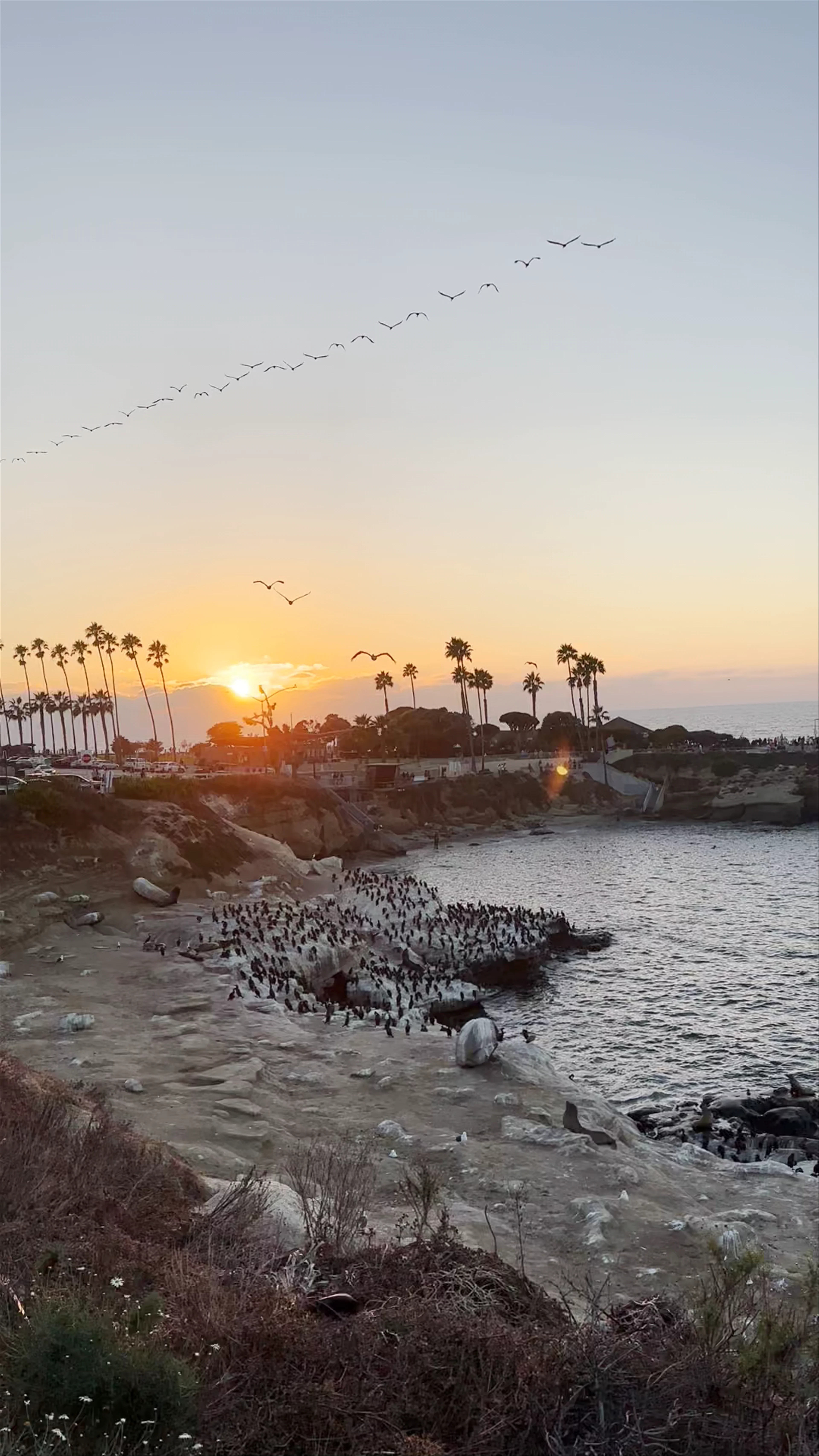 La Jolla