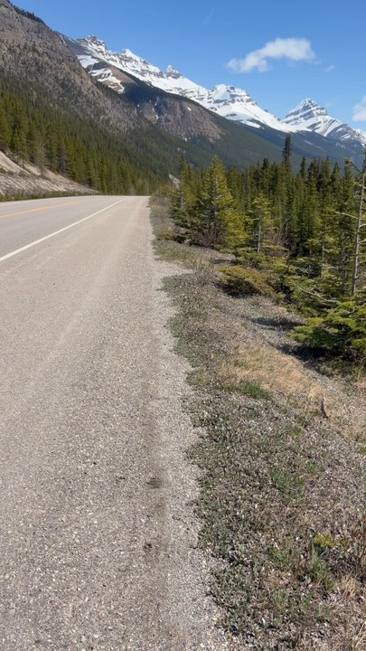 Icefields Parkway - Hiking Near Me - Jasper, Alberta