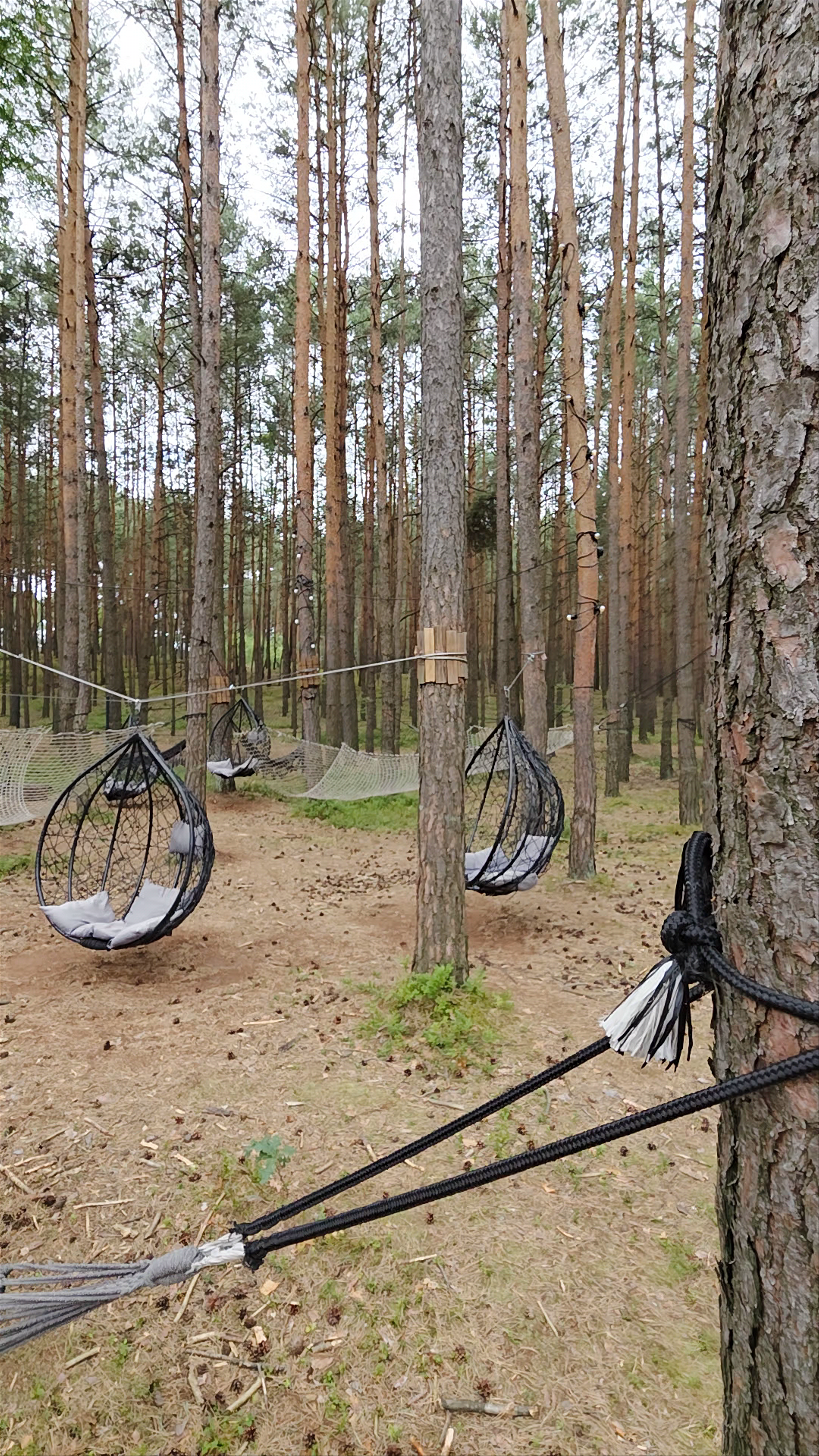 Serene Forest Retreat at Patyki Las Możliwości, Kolonia Łobudzice