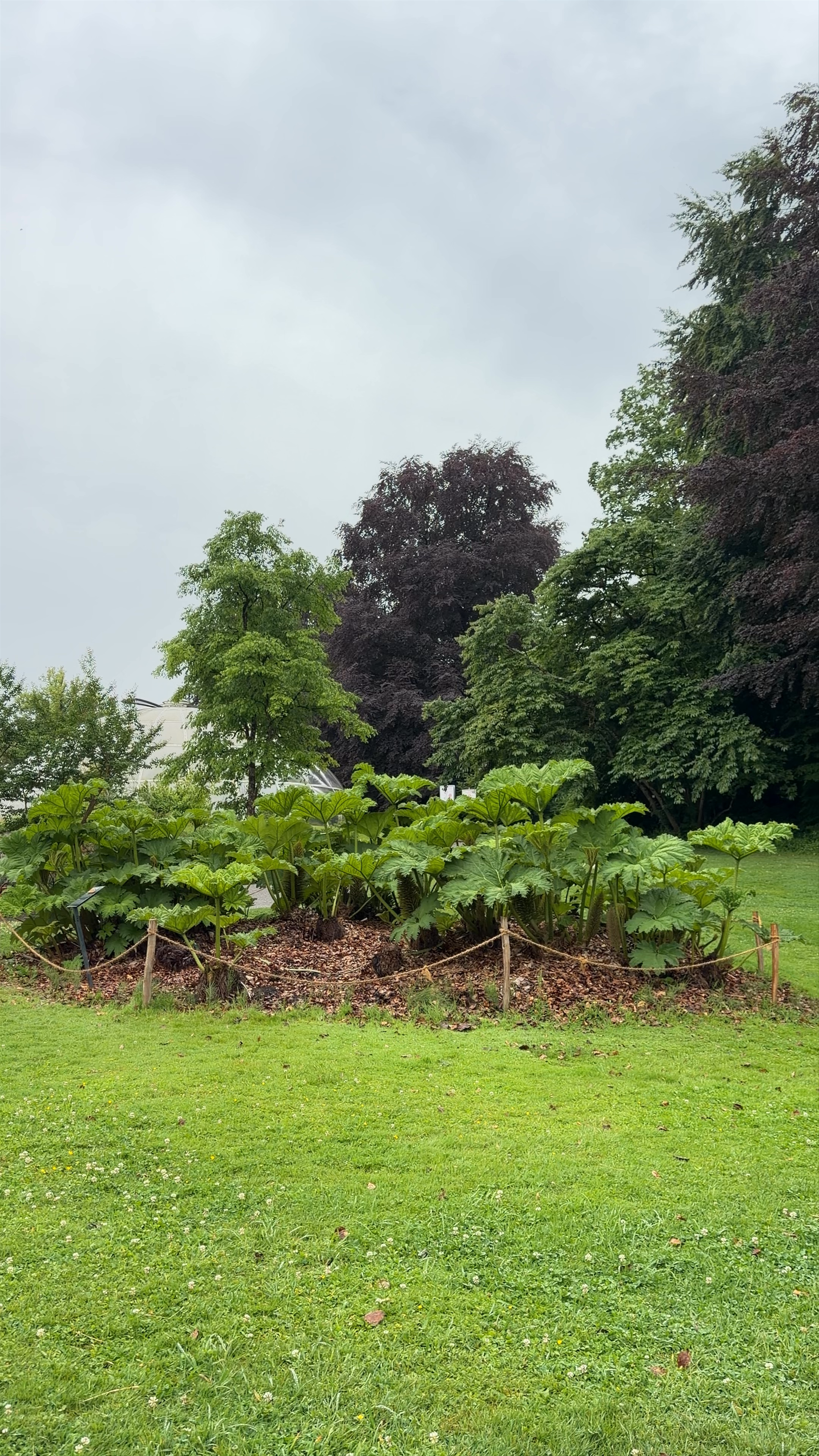 Botanical Garden