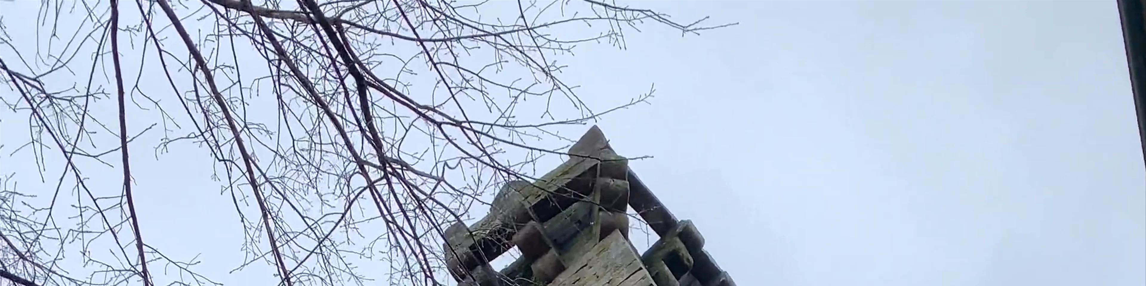 Torre de Menagem