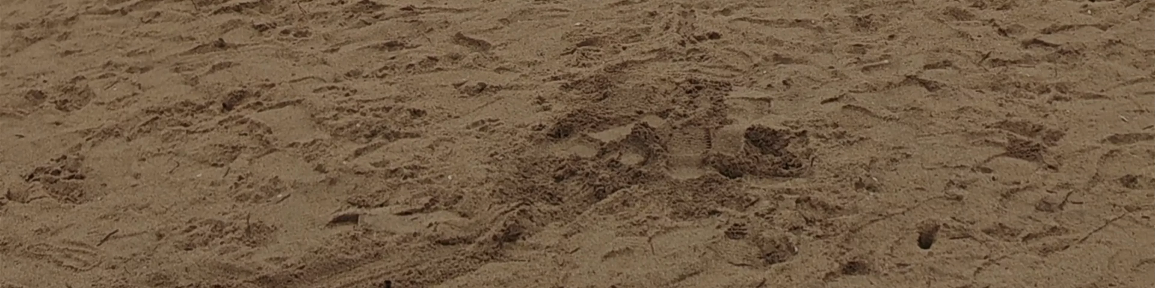 Gangmun Beach