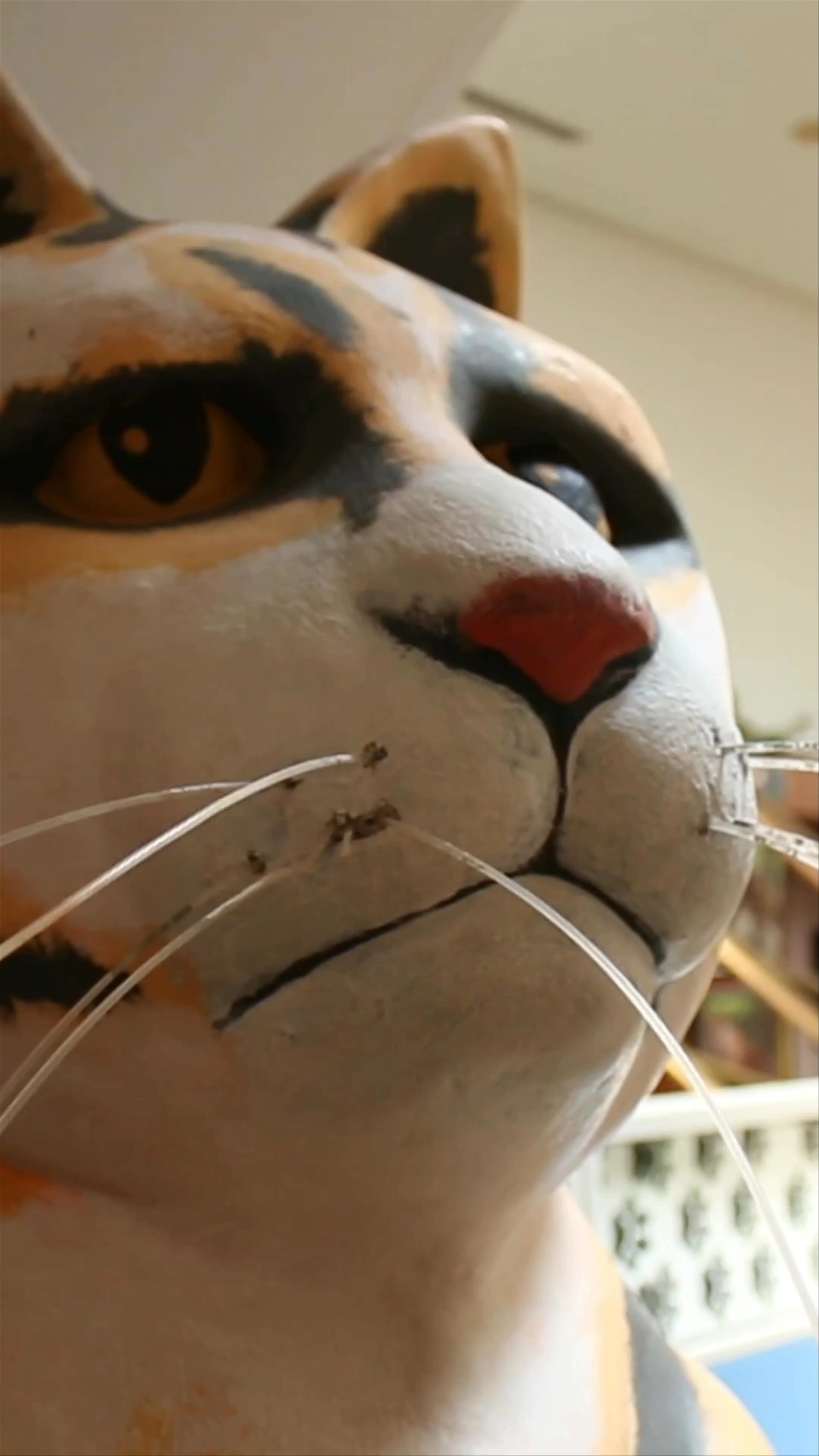Cat Museum, Bangunan DBKU, Jalan Semariang, Petra Jaya, Kuching