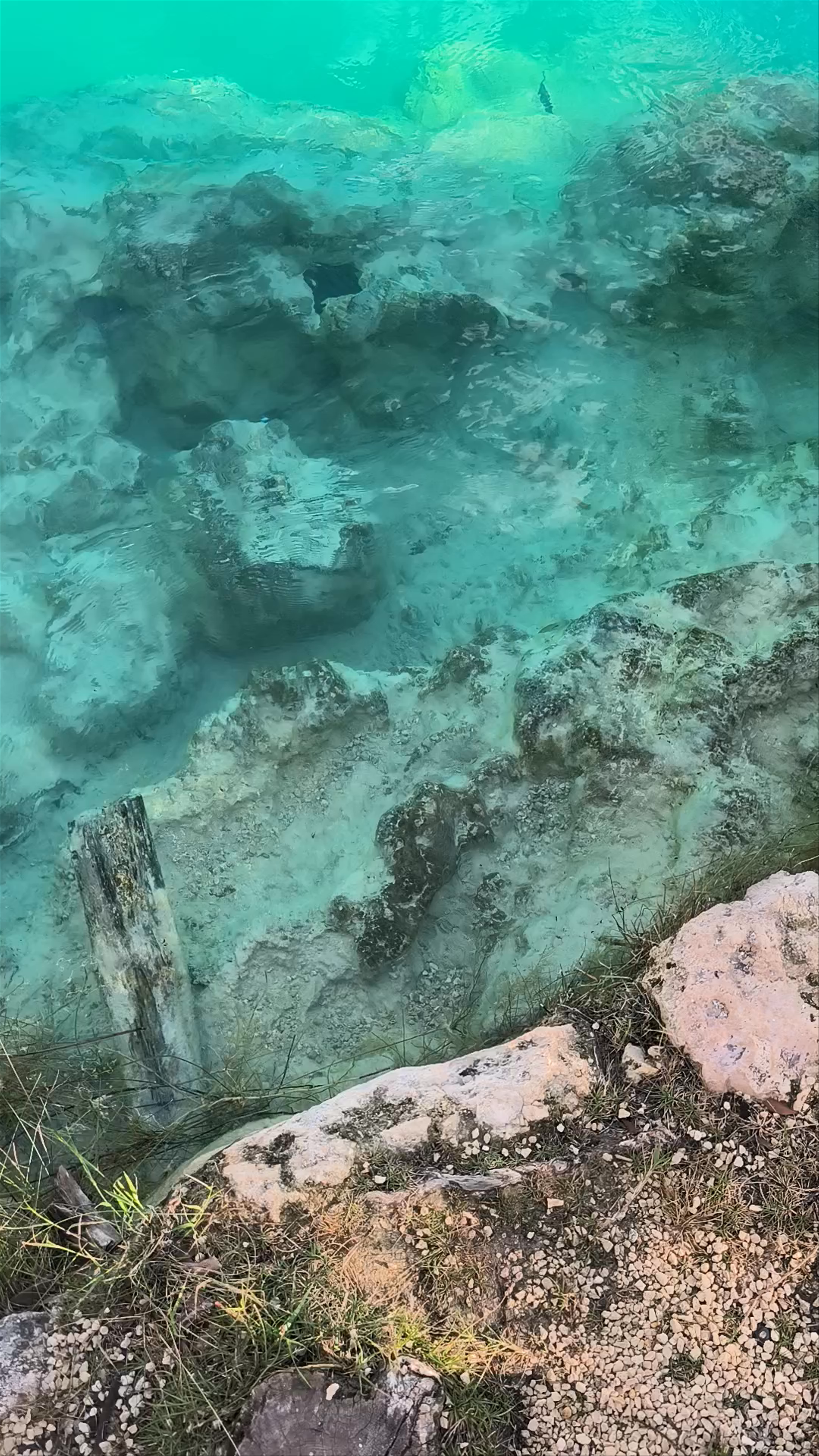Los Rápidos de Bacalar