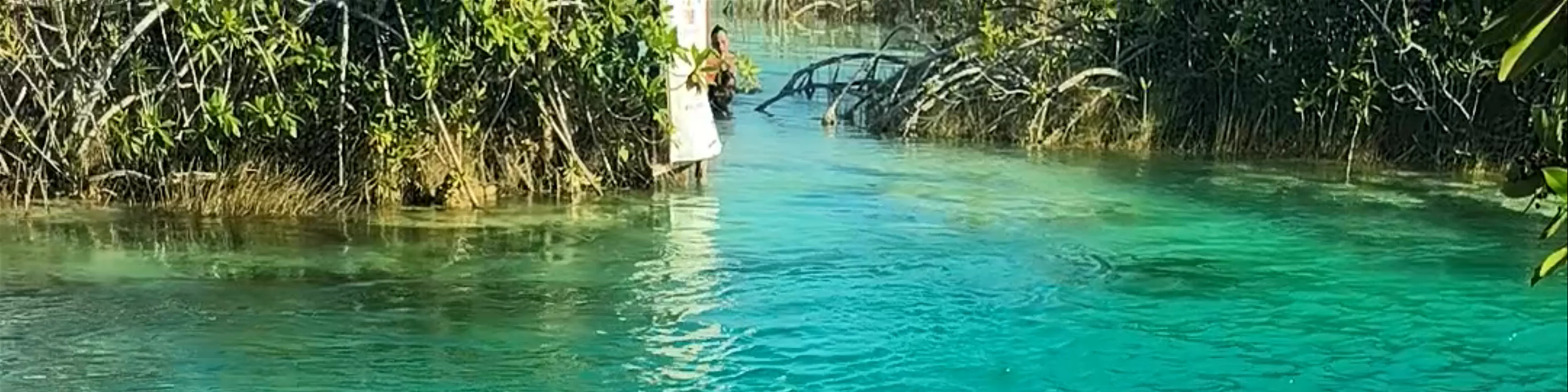Los Rápidos de Bacalar