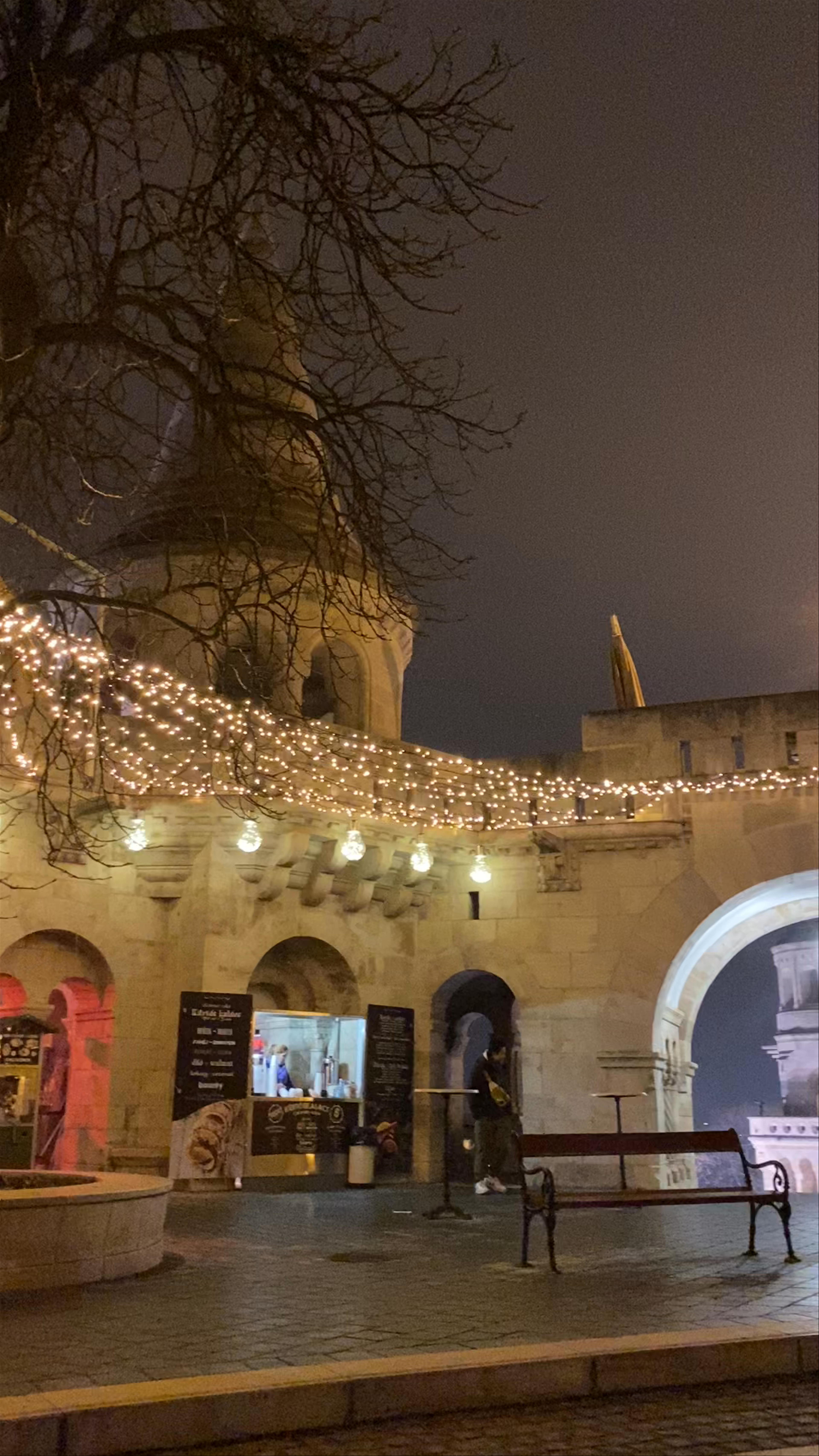Magical Night at Buda Castle, Budapest