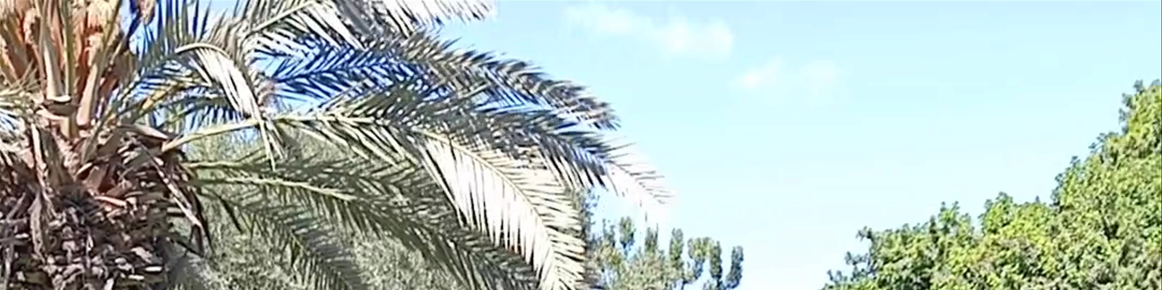 Jardin Olhao Agadir