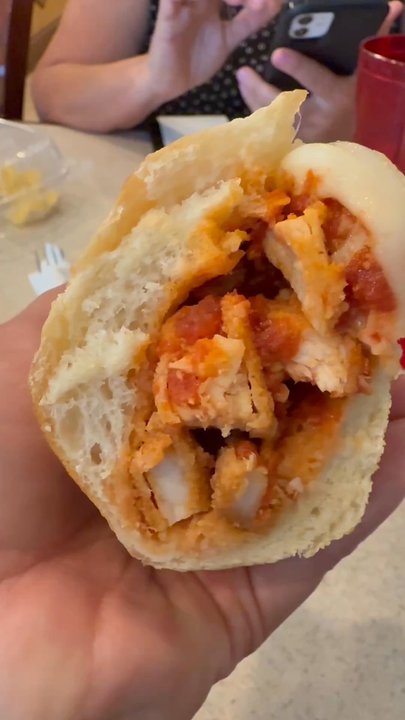 Michelangelo - Pizza Near Me - Parrish, Florida
