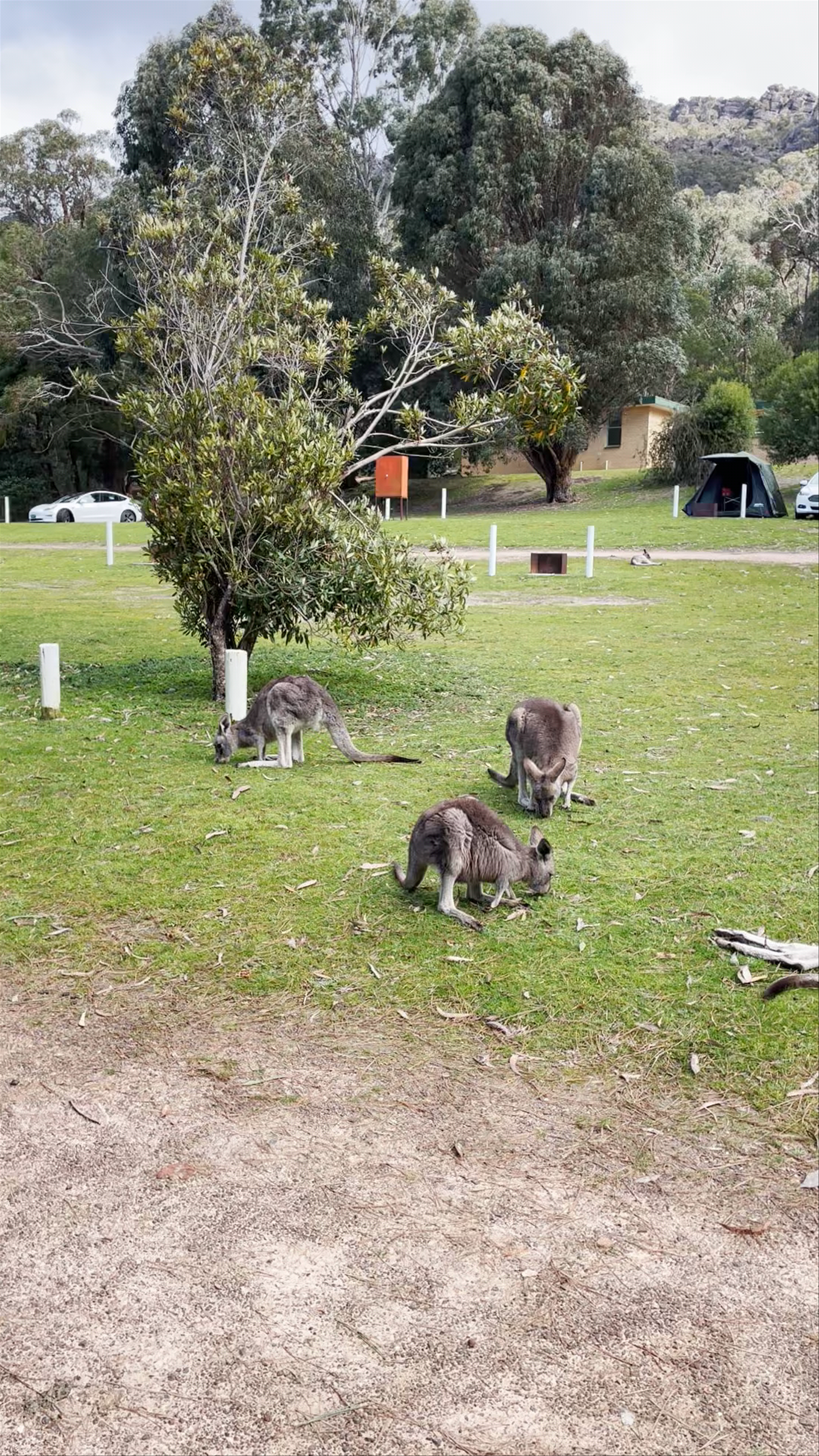 Halls Gap Visitor Information Centre