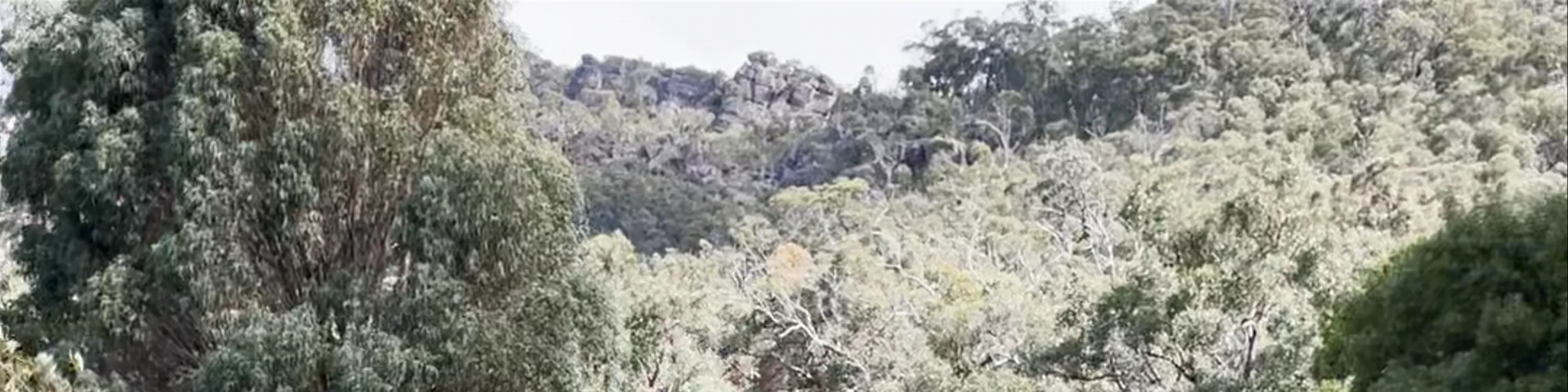 Halls Gap Visitor Information Centre