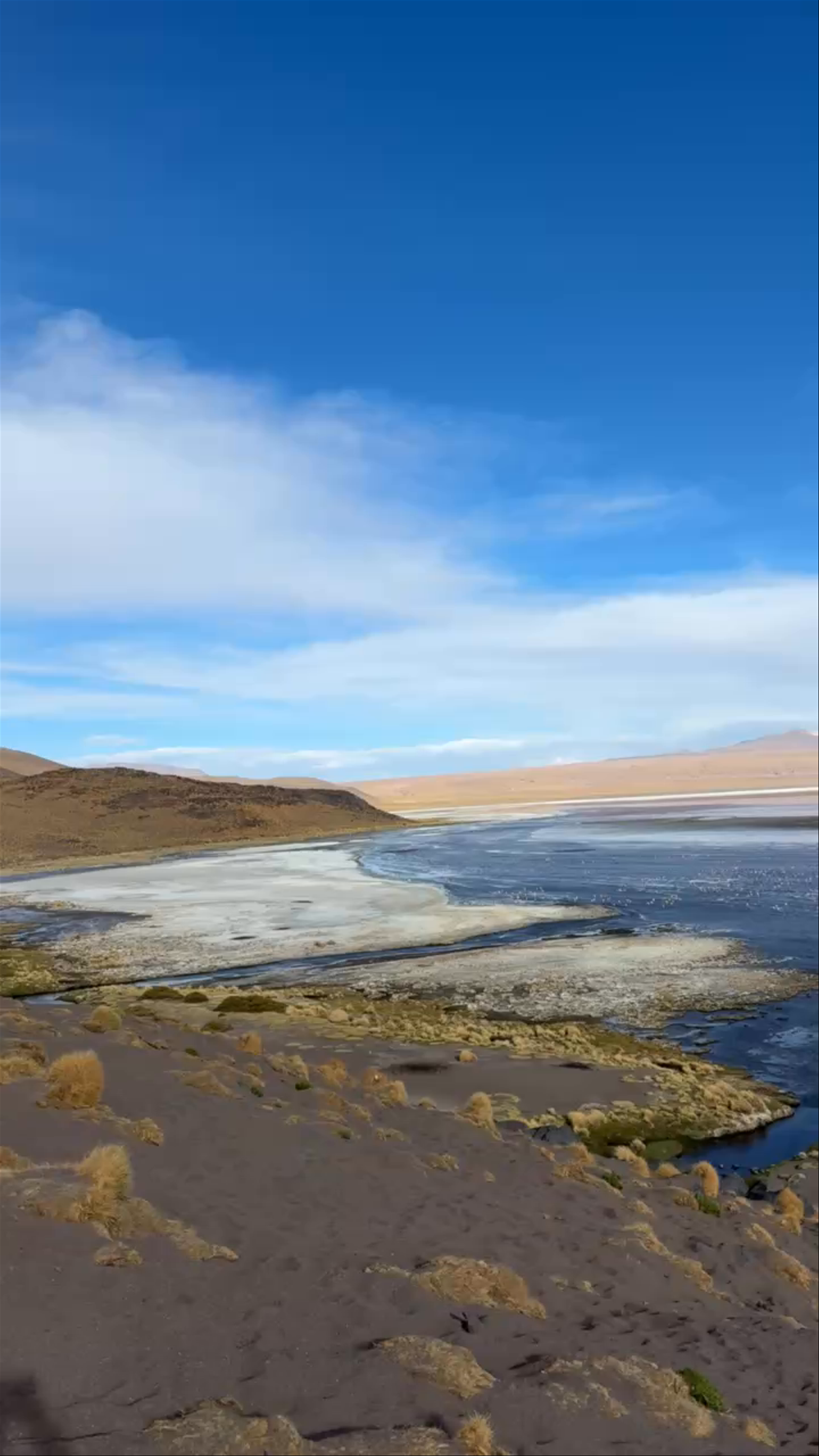 Laguna Colorada