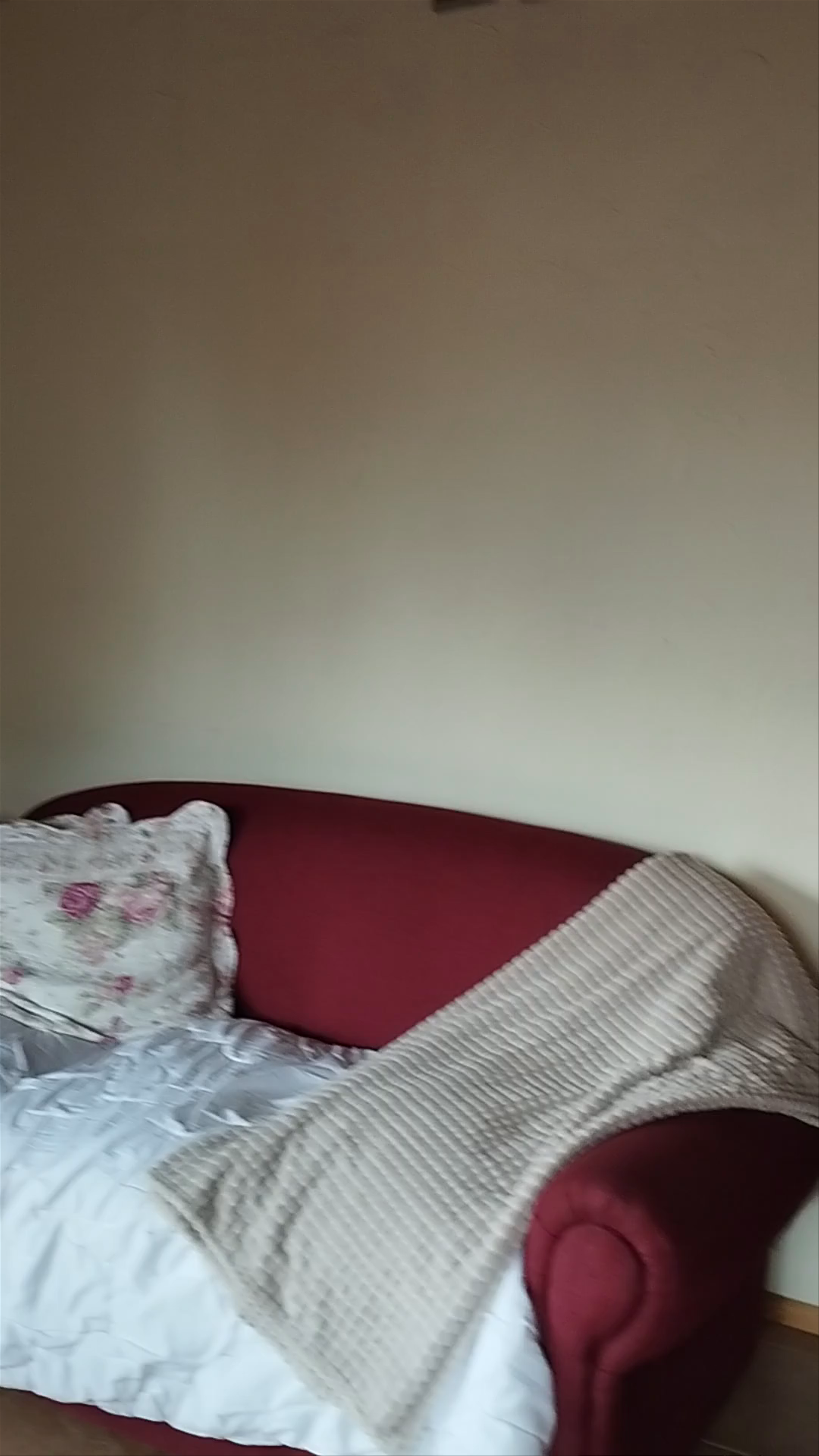 Ruka Pucón Hostel - Del Pillán