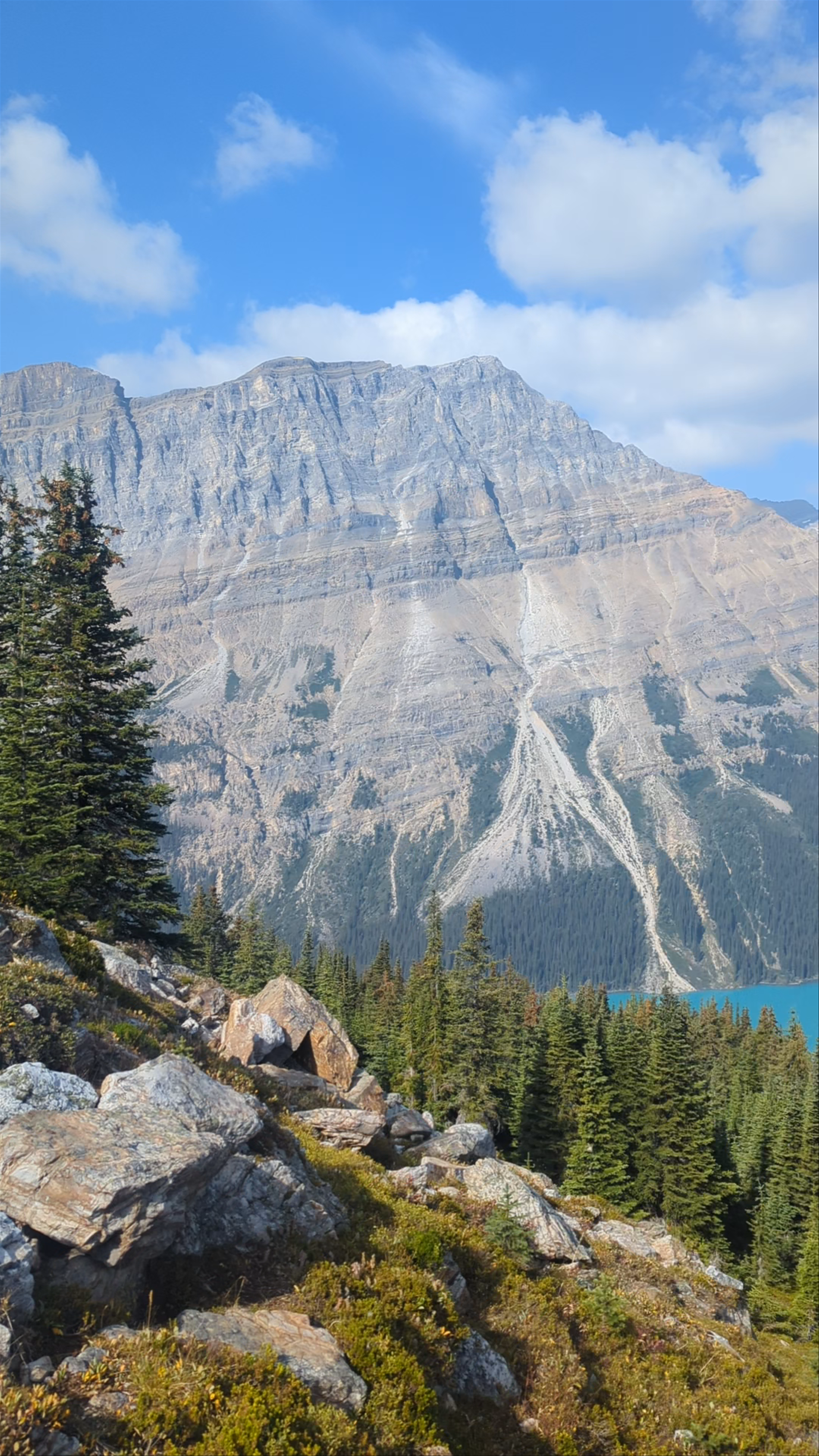 Peyto Lake