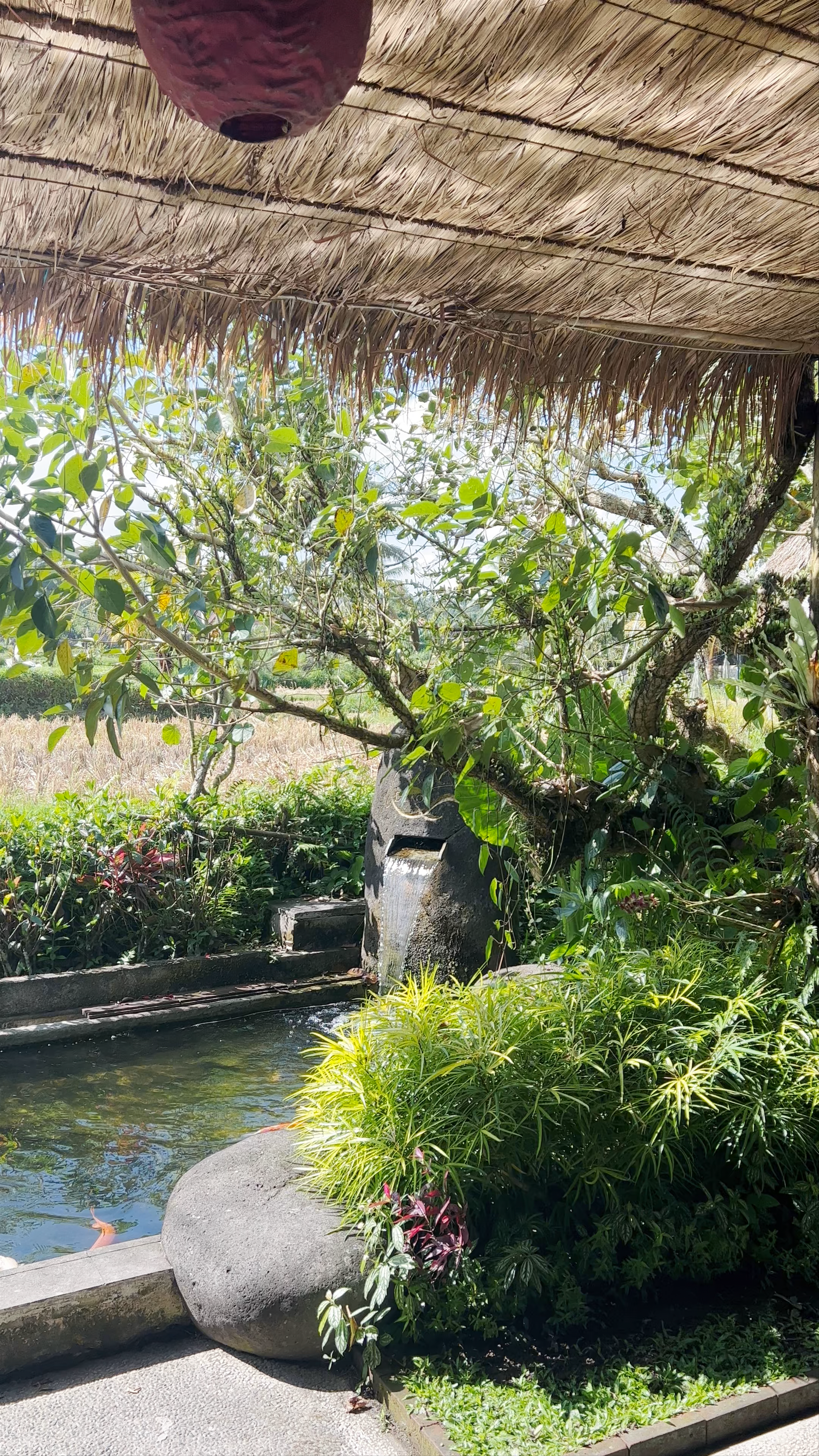 Warung De Koi