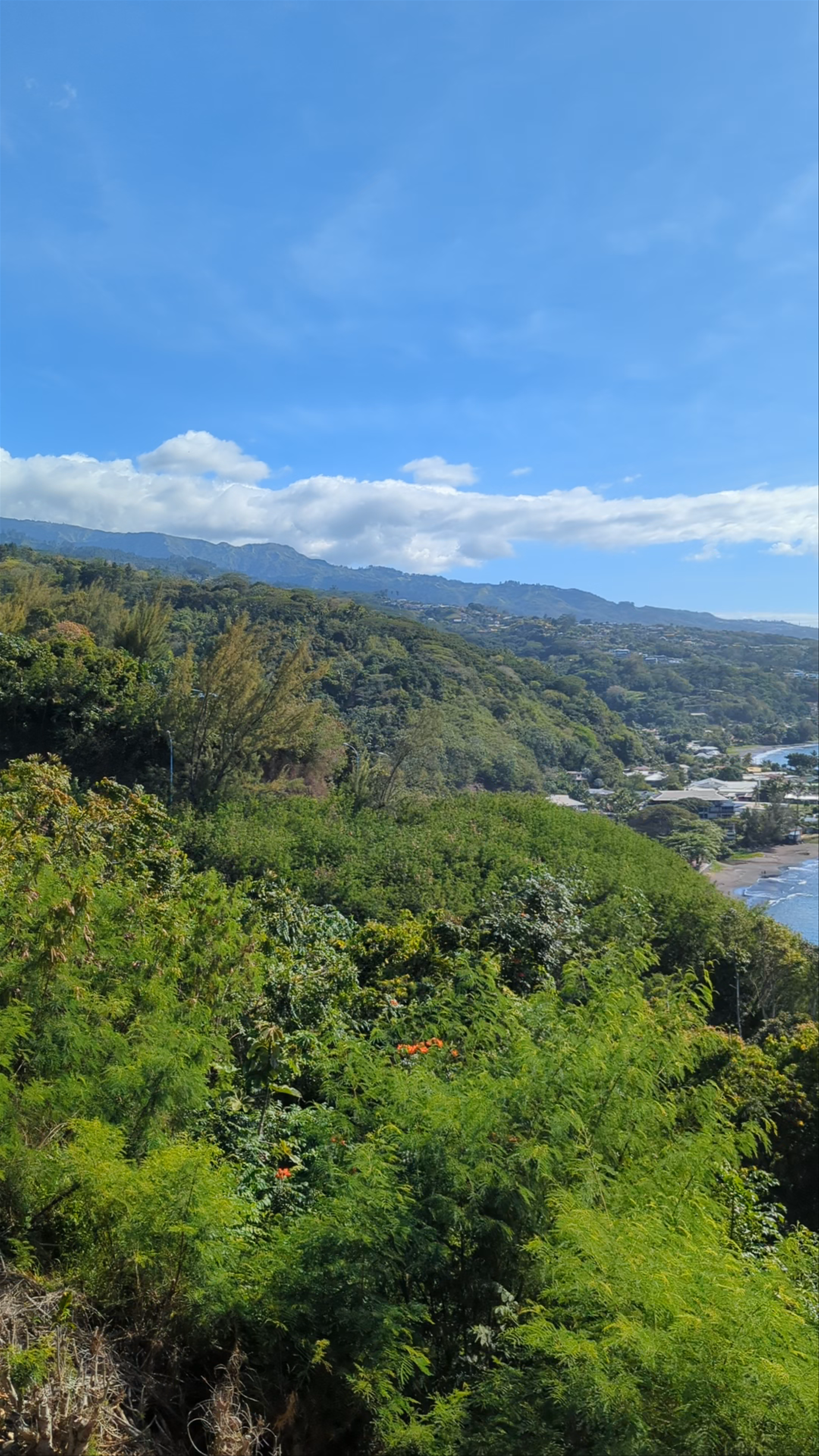 Belvédère du Tahara'a