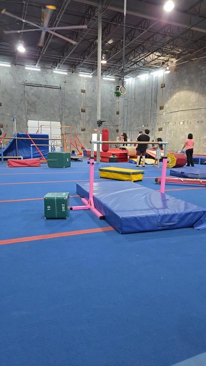 The Jungle Movement Academy - Gyms Near Me - Round Rock, Texas